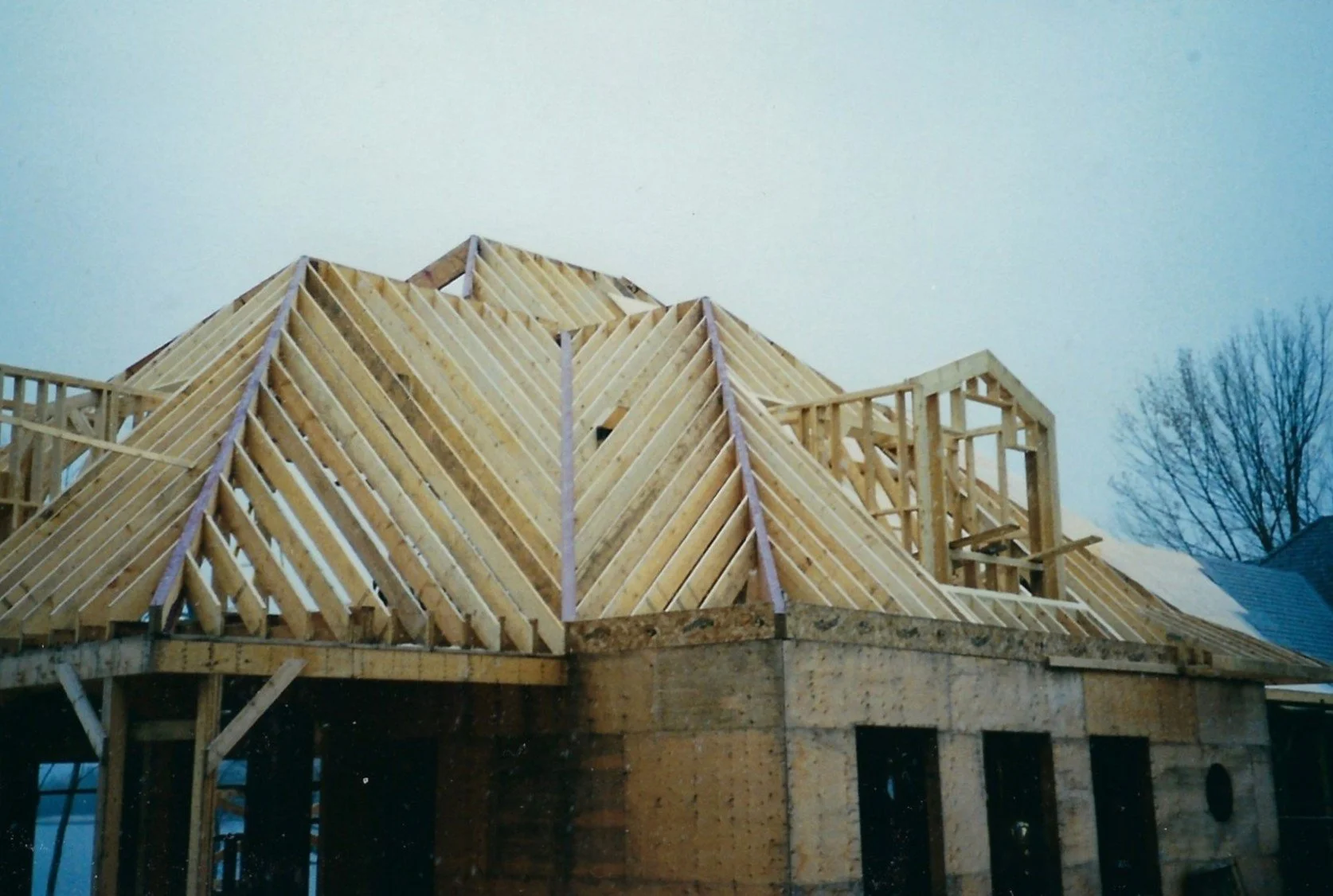 Photo_2026-01-02_164745 (6).jpg