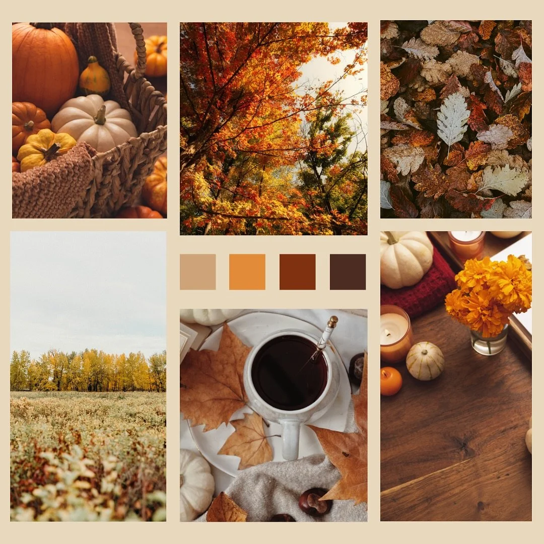 🍁☕️✨