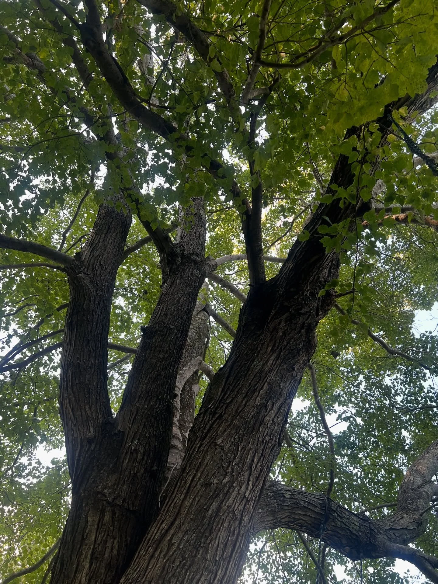 August in Review ✨
.
.
.
#insta #instadaily #artistsoninstagram #august