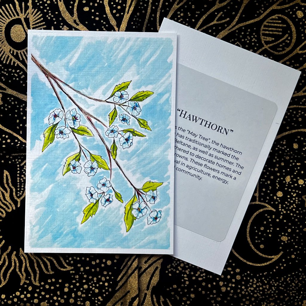 hawthorn_SingleBackingsBeltane.jpg