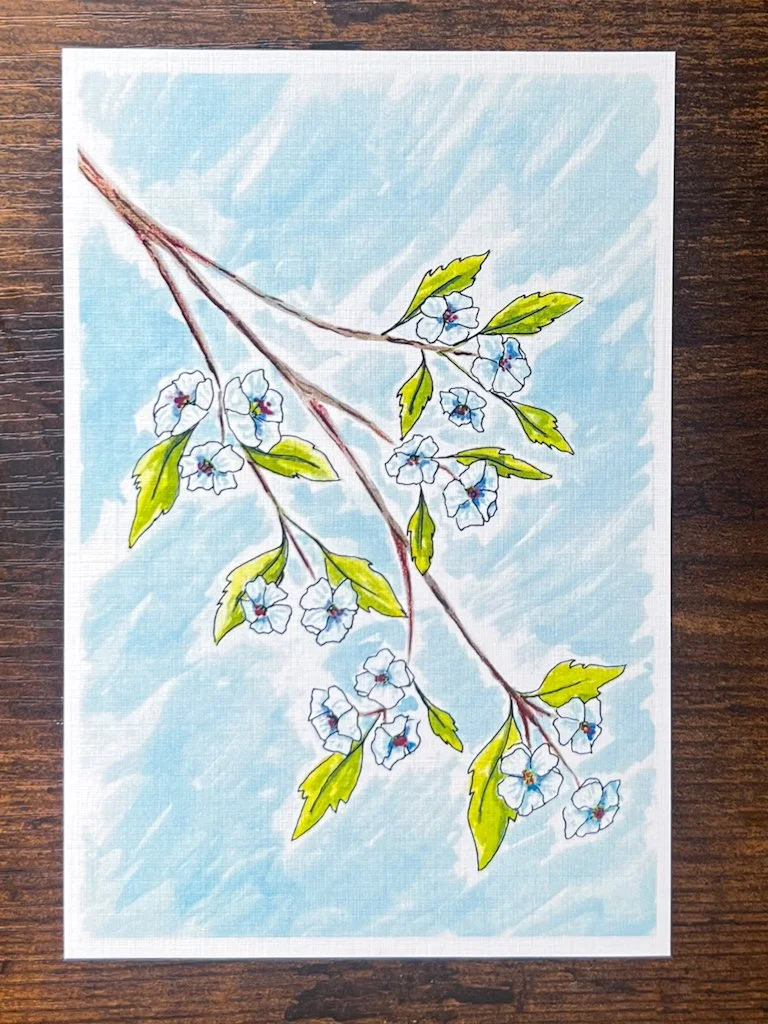 hawthorn_basicSingleBeltane.jpg