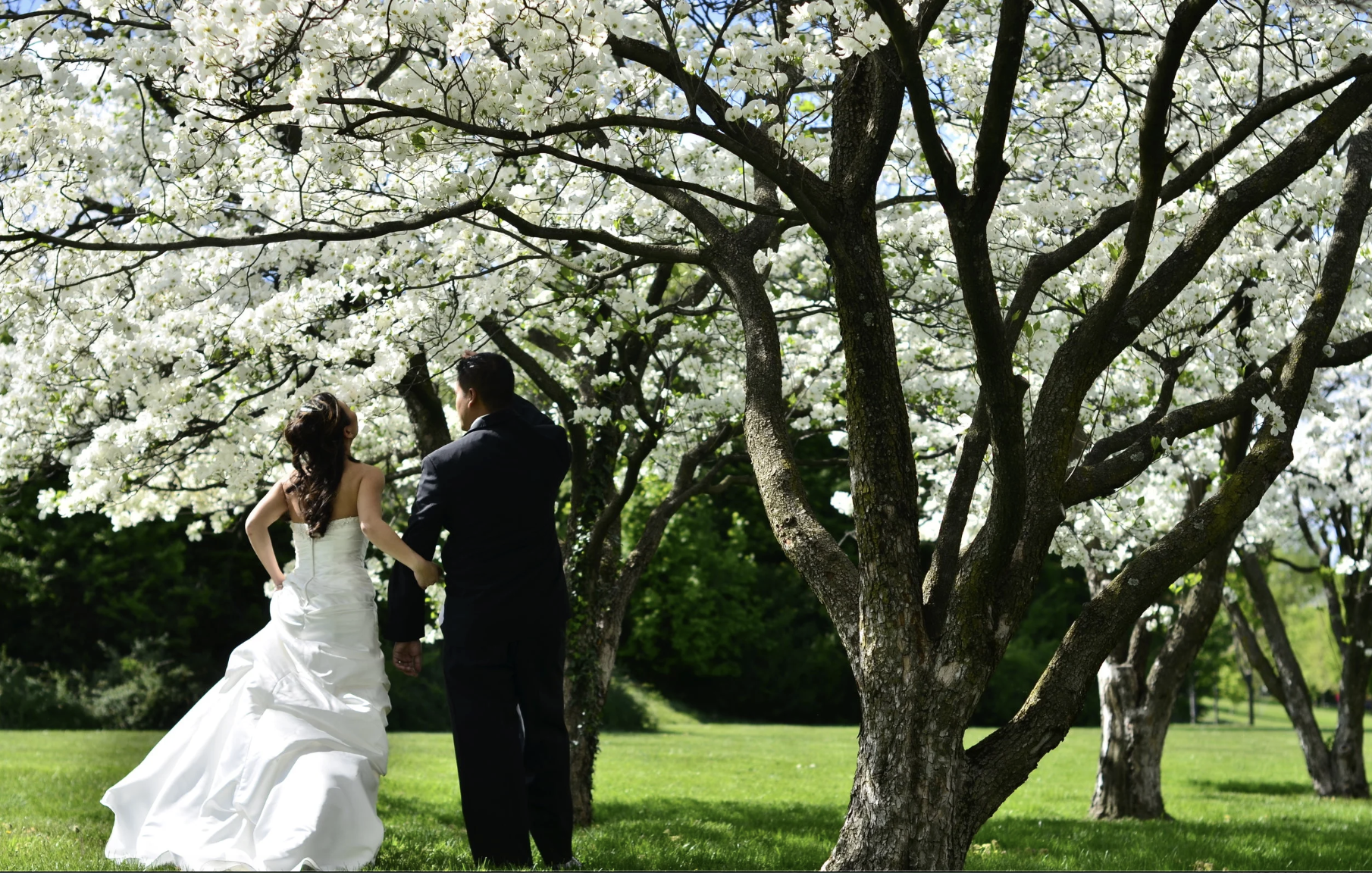 Screenshot 2026-01-30 at 3.09.16 PM.png