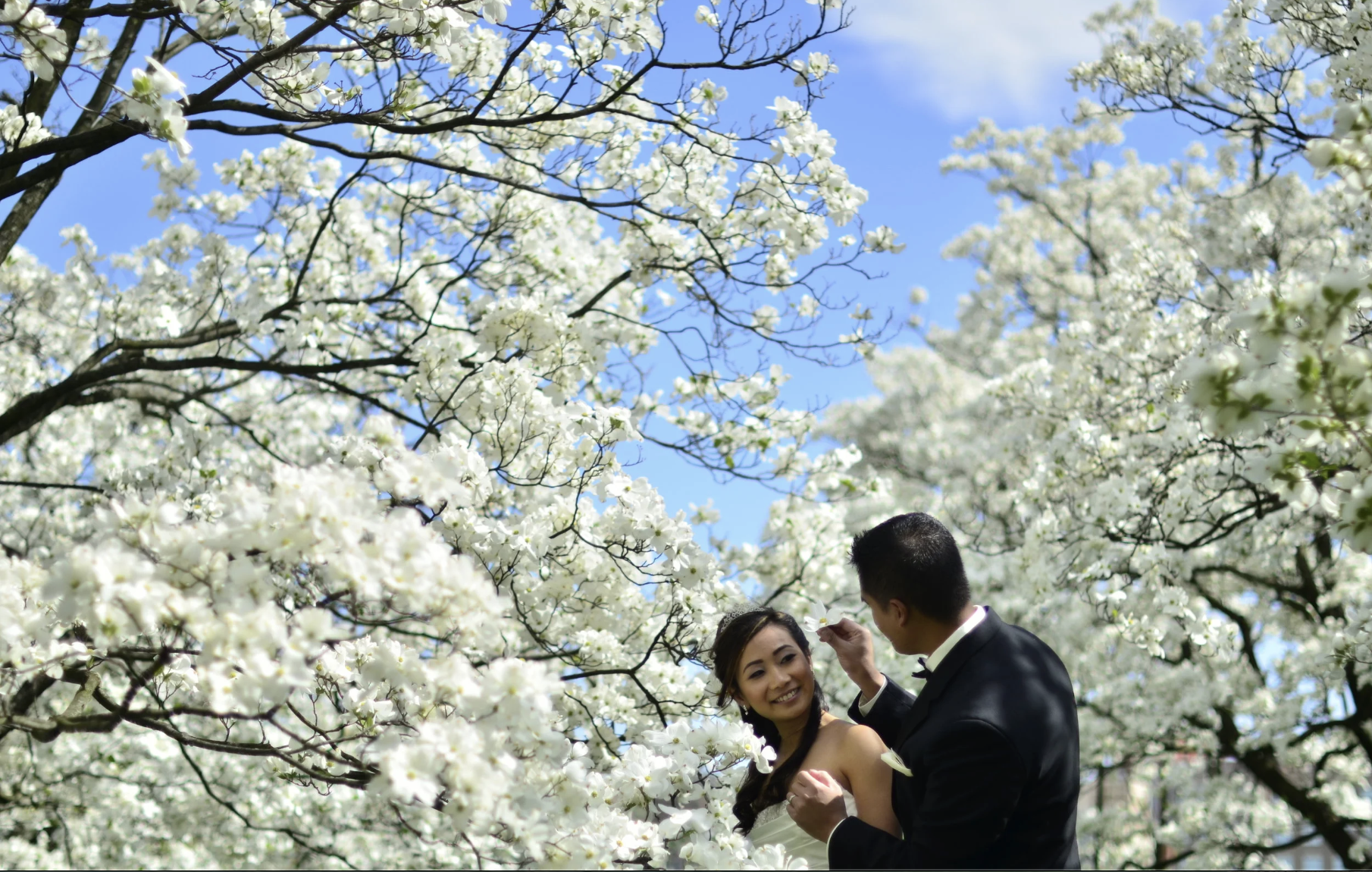 Screenshot 2026-01-30 at 3.08.14 PM.png