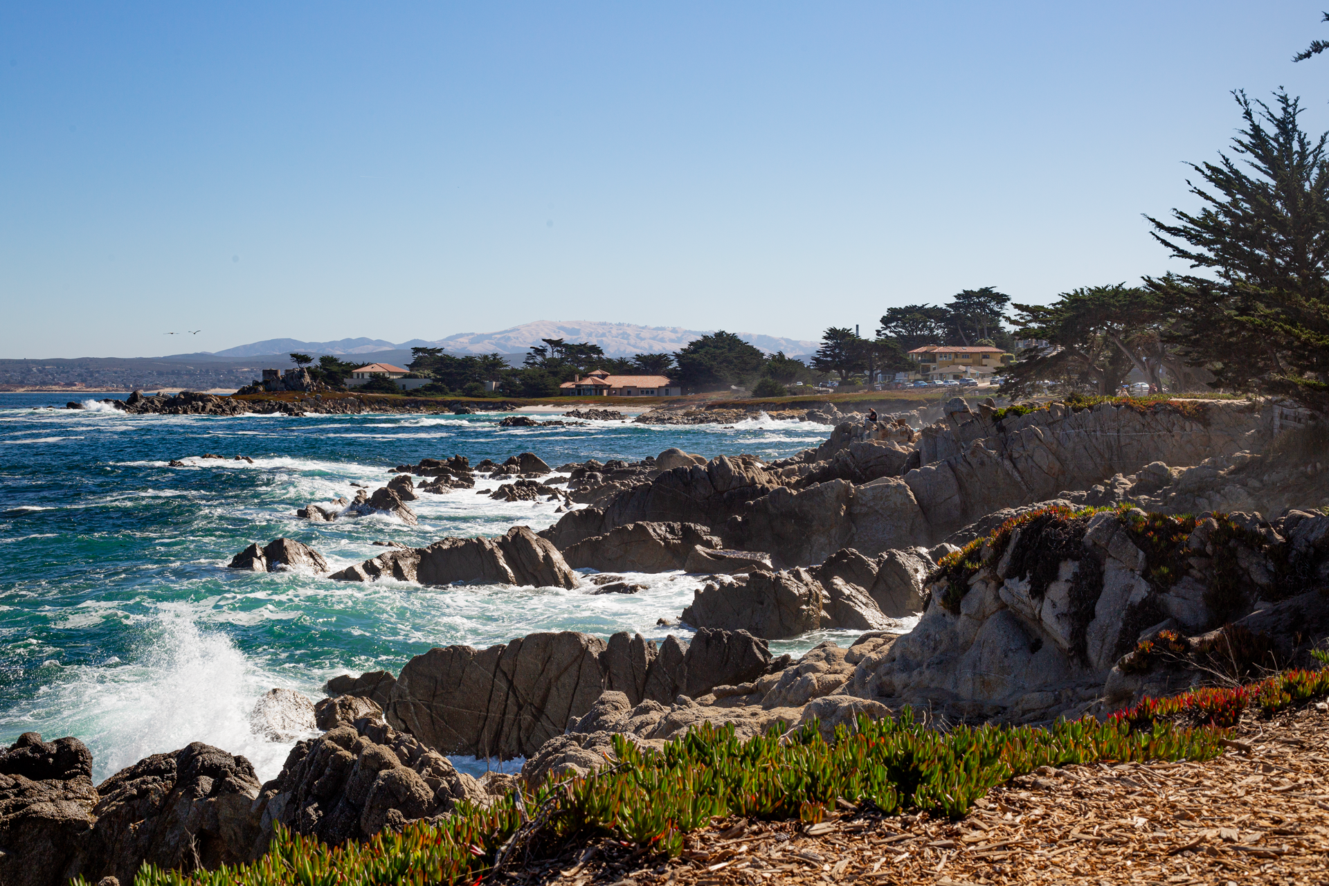 Pacific-Grove_Lovers-Point-Park-and-Beach_ViewPoint2.png