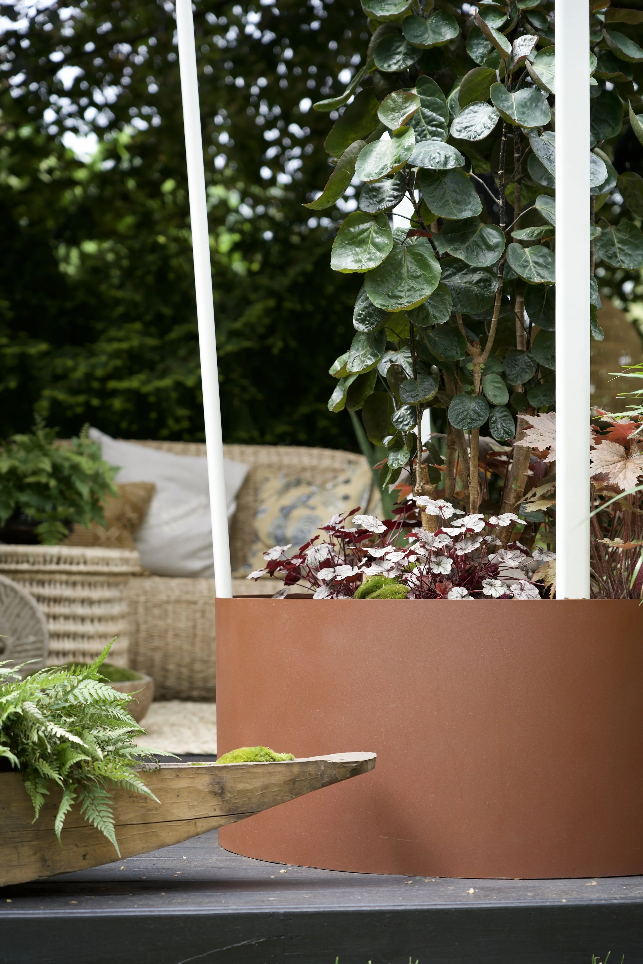 Botanical Boys x Chelsea Flower Show