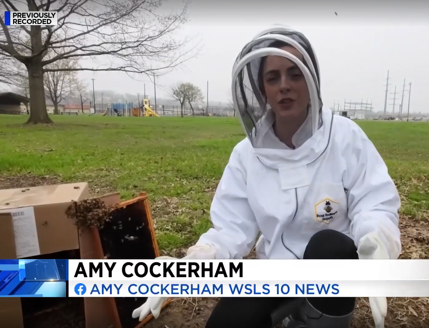 WSLS_6.png