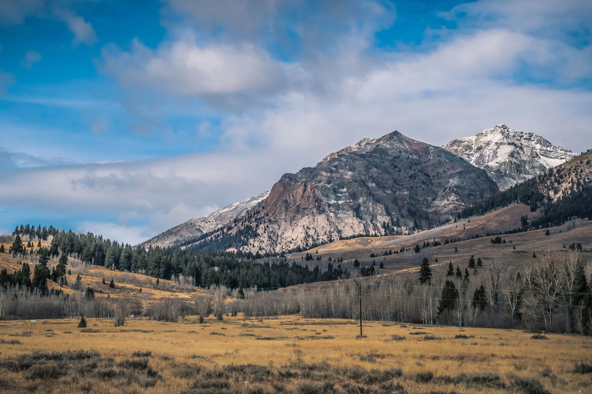 Heal Faster with Dr. Victoria Maizes (Ketchum, ID)