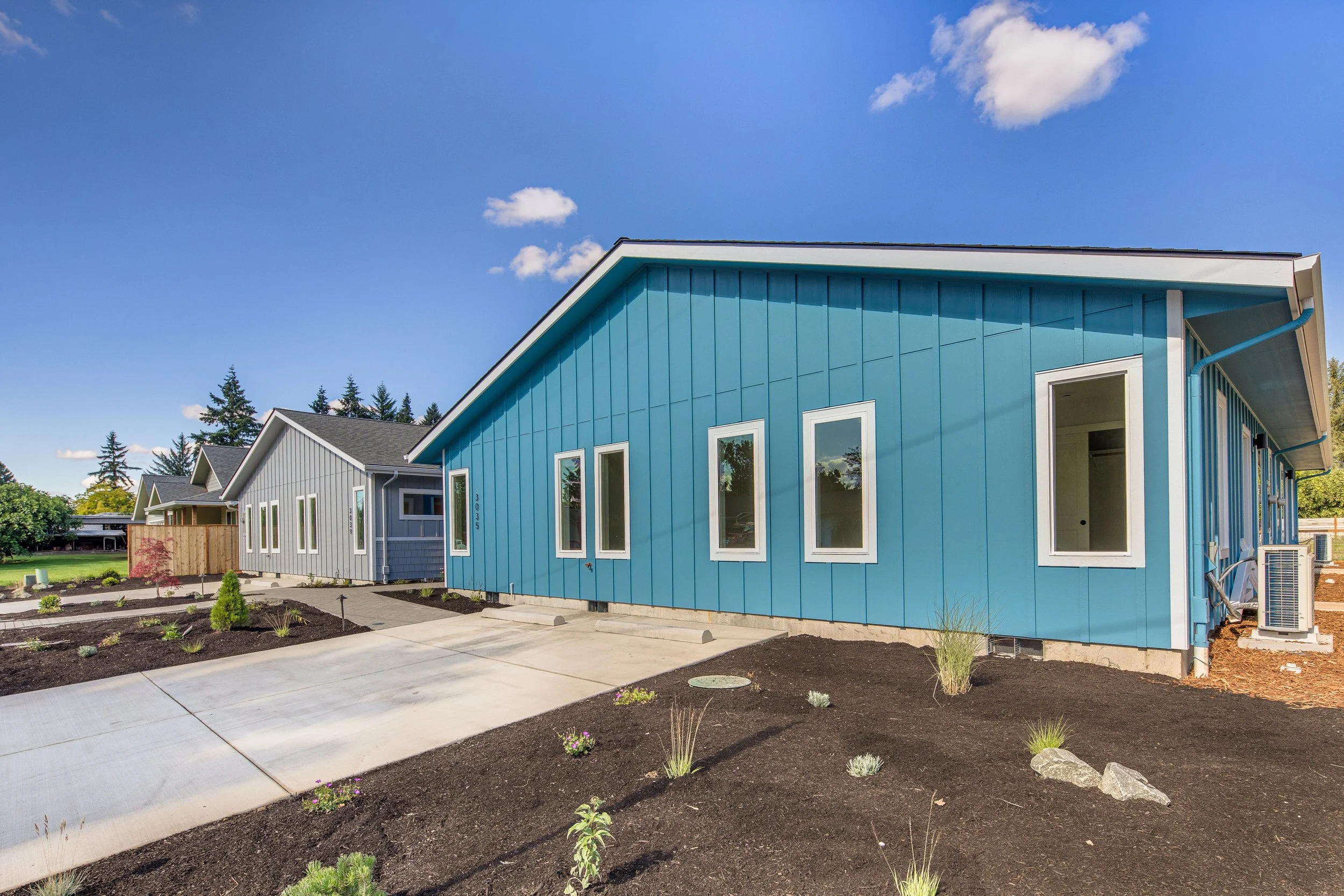 2-print-303X Hyacinth-2.jpg