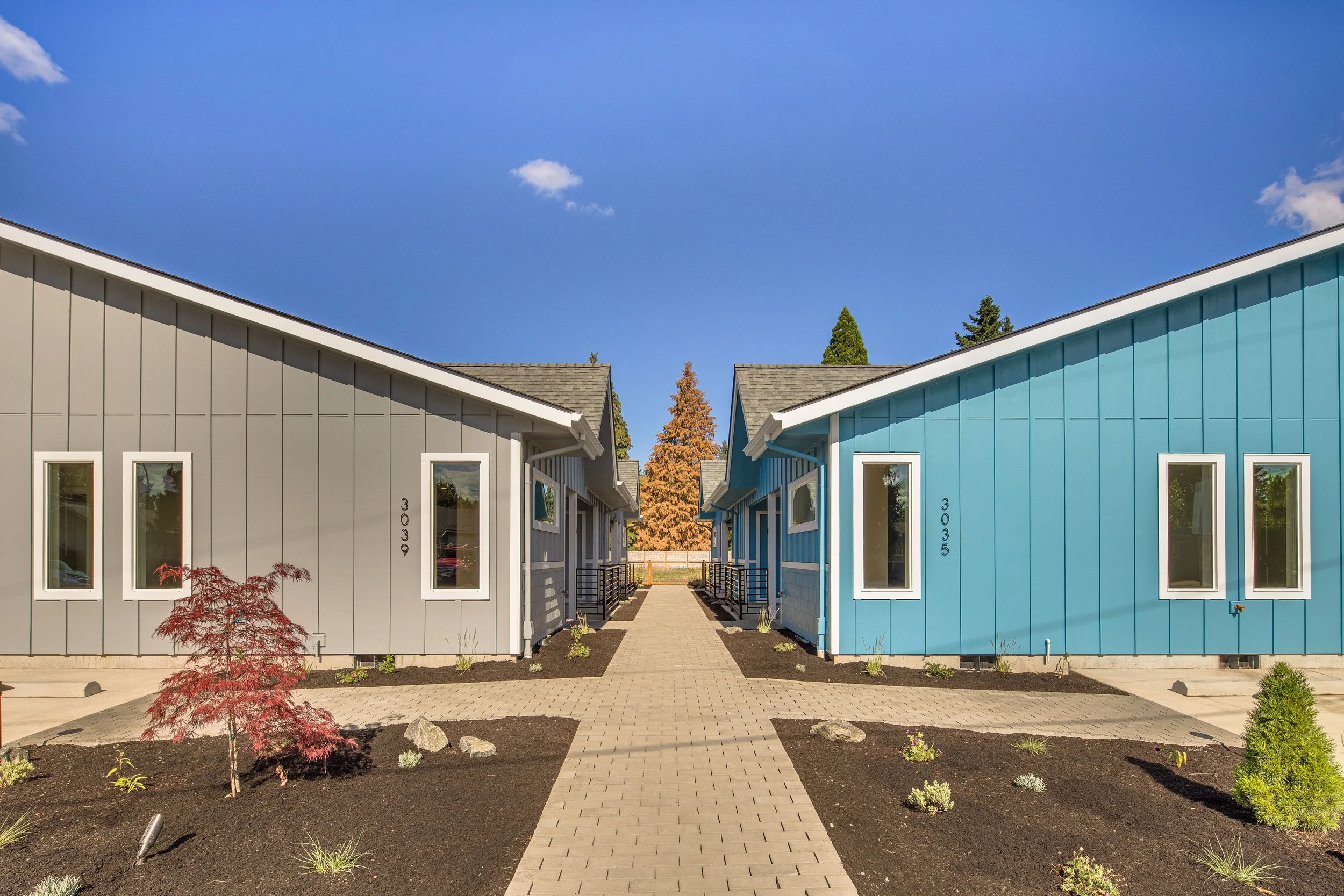 8-print-303X Hyacinth-8.jpg