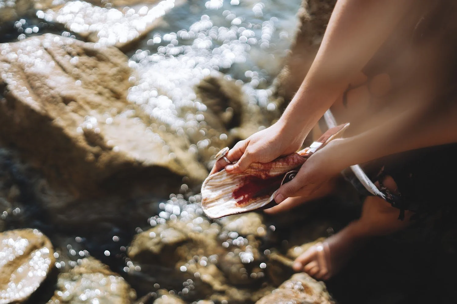 Person holding a blood-stained seashell near rocks and water at the shoreline.