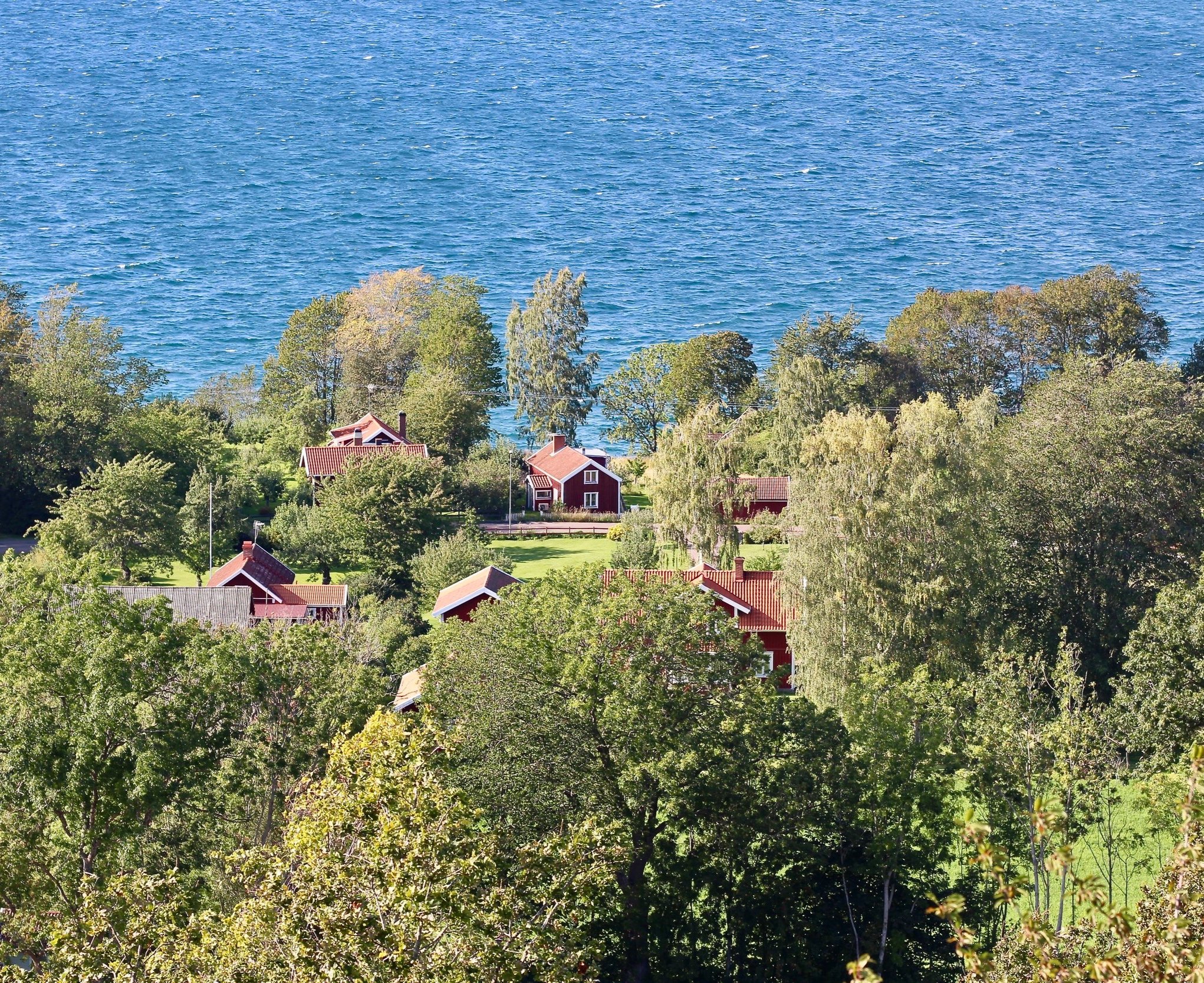 IMG_5682.jpg