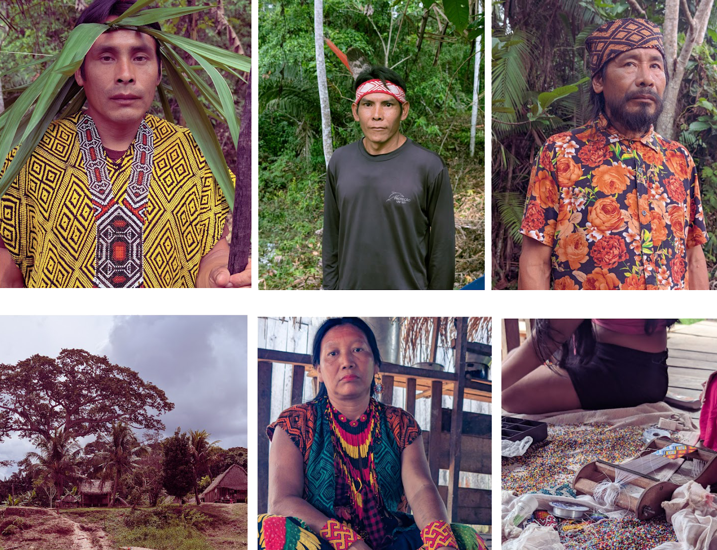Regenerative Systems in Practice: Supporting Indigenous-Led Land Stewardship in the Amazon