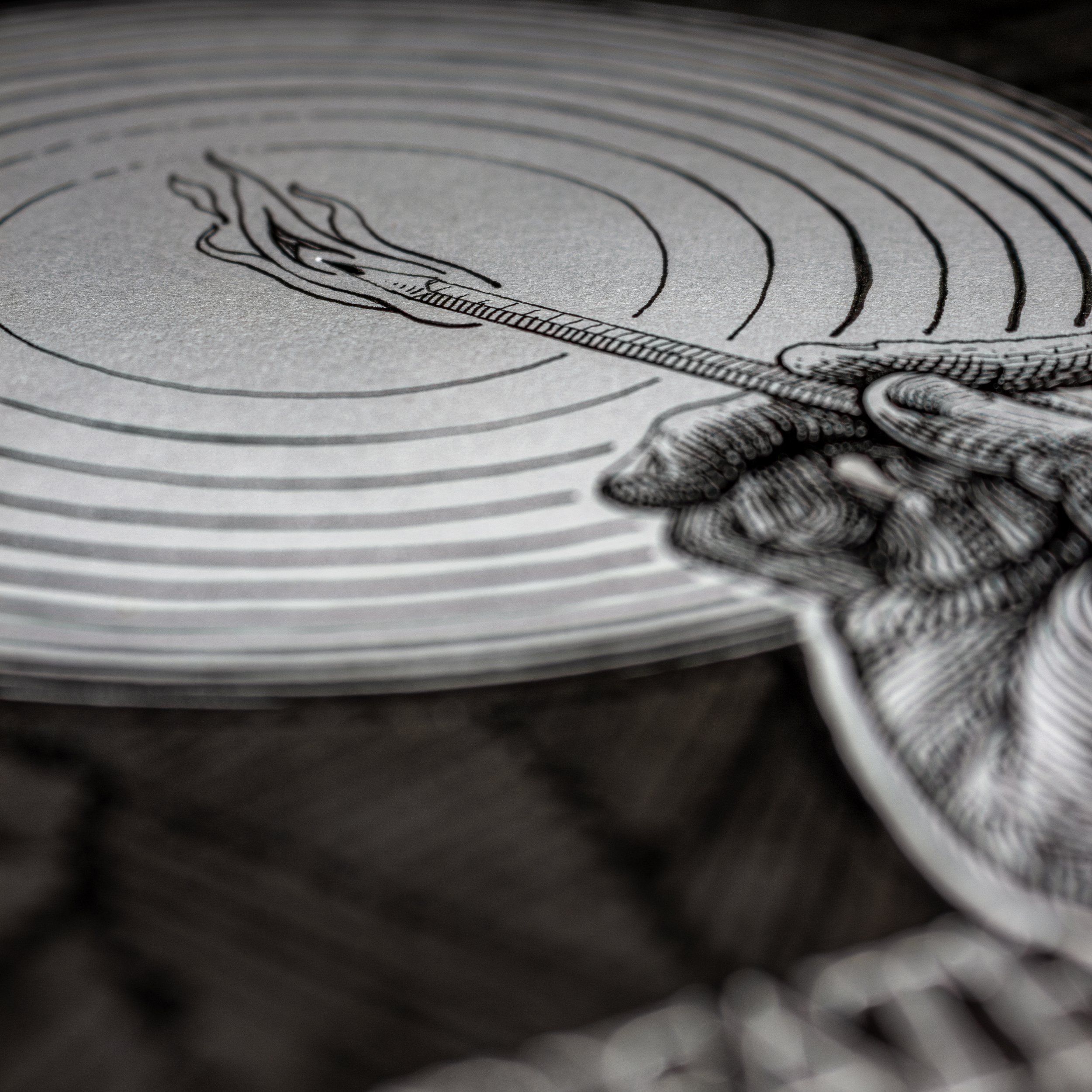 Macro-4.jpg