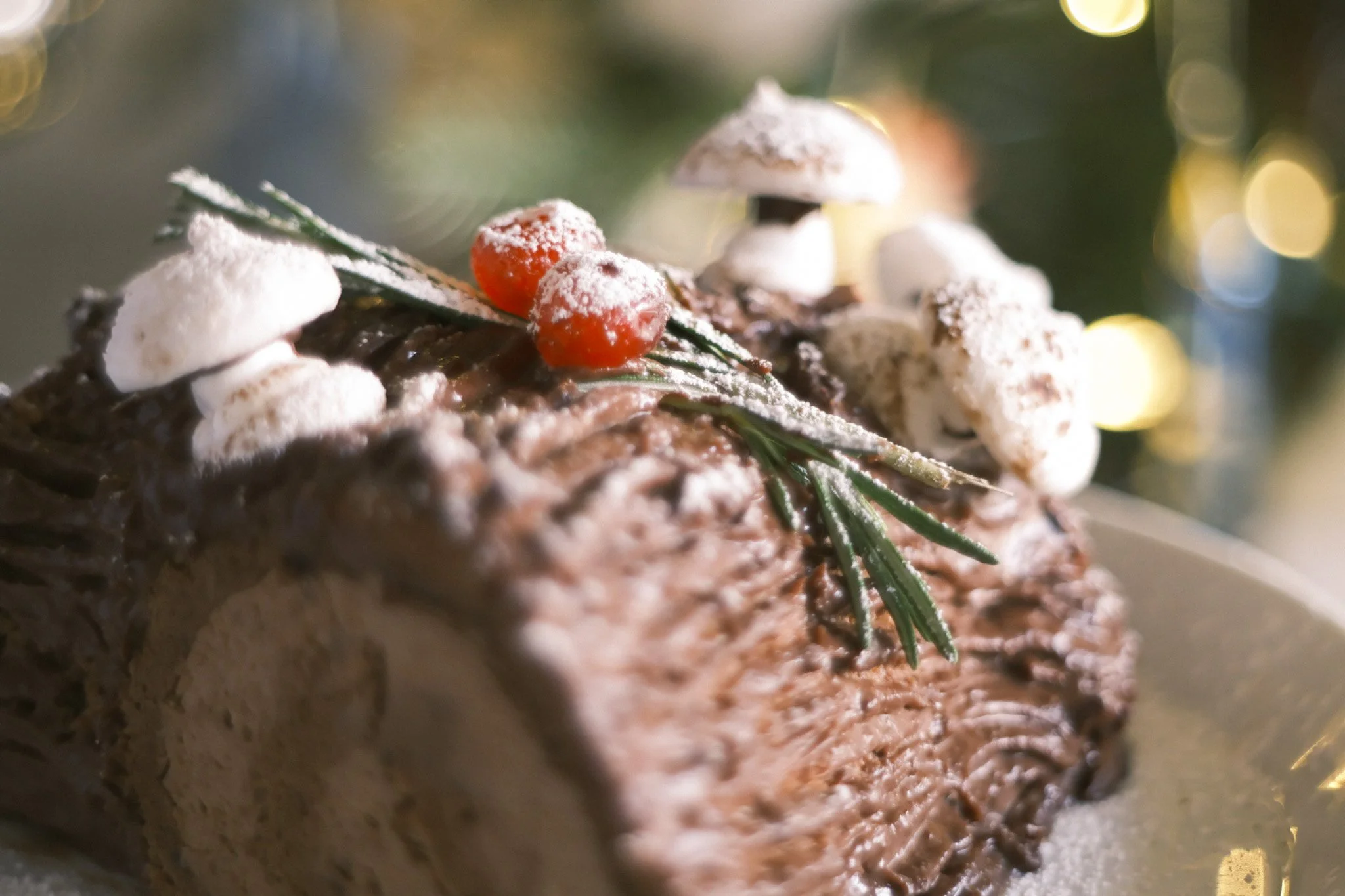 Zoomed in picture of the buche de noel's texture and garnishes