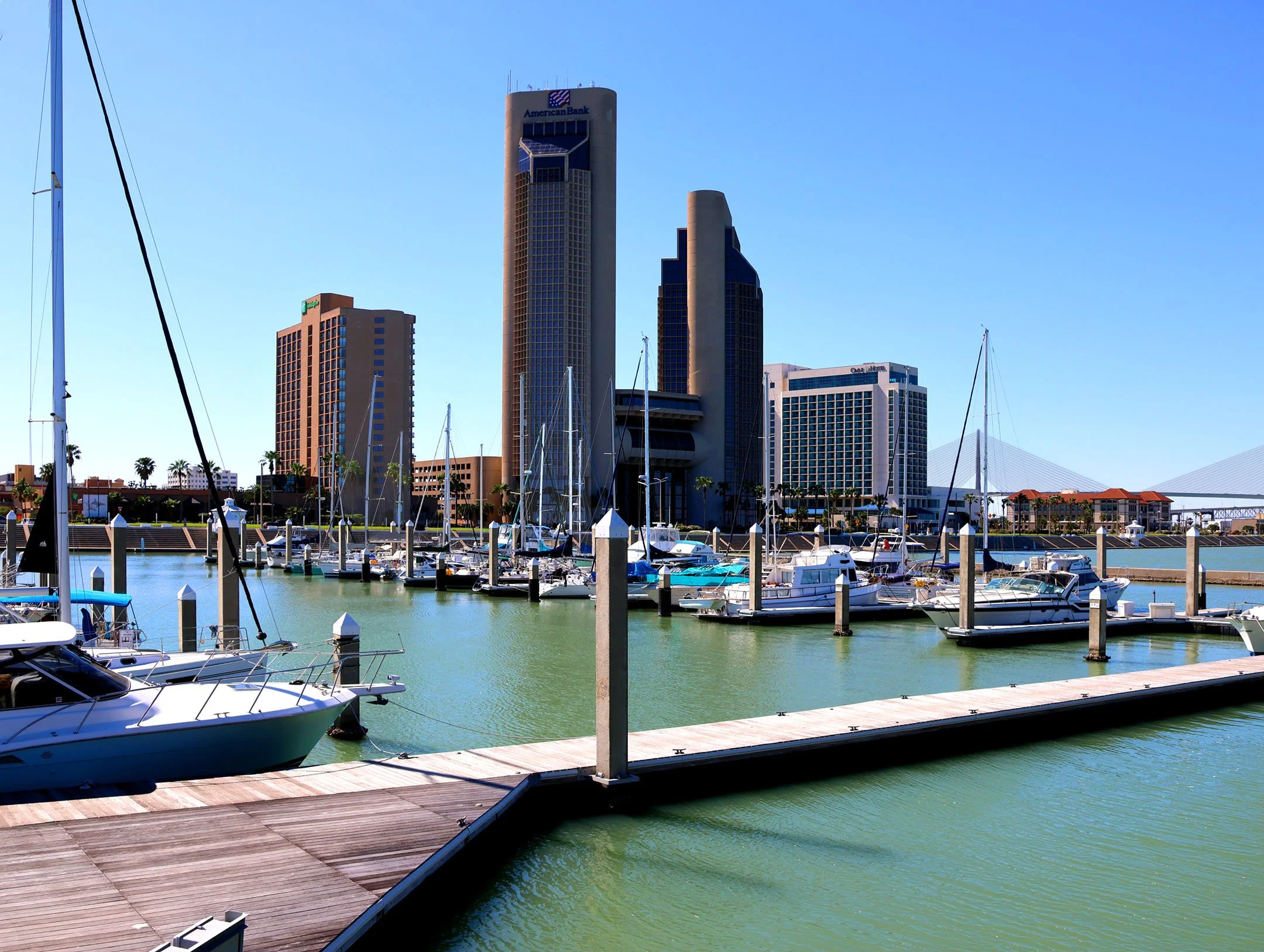 new three bldgs wider copy.jpg