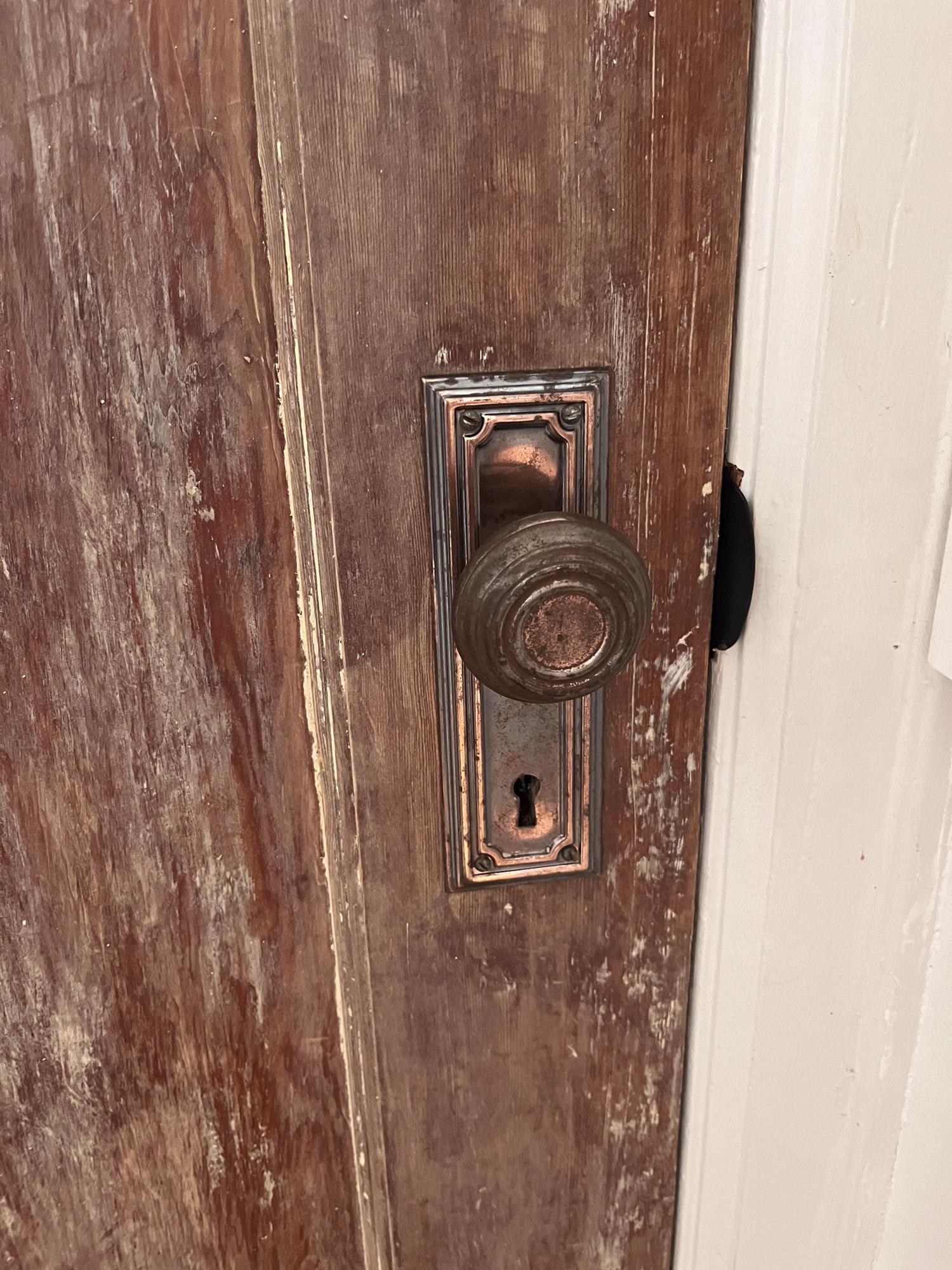 FrontDoor-8.png