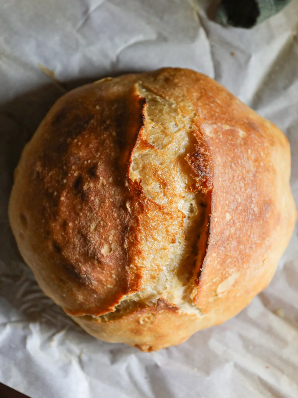 Artisan sourdough loaf resting on parchment after baking