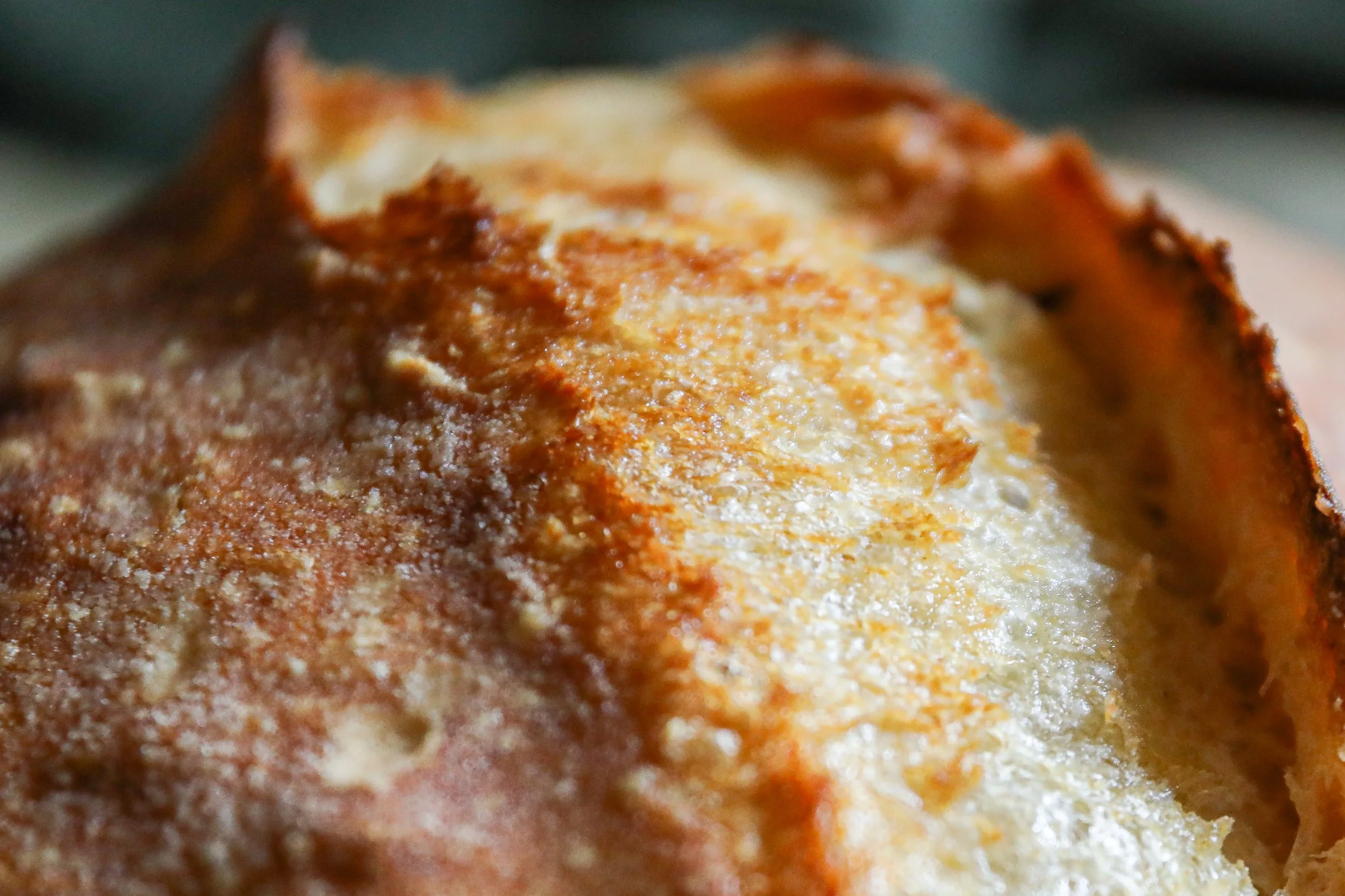 Close-up of a freshly baked artisan sourdough loaf with golden crust