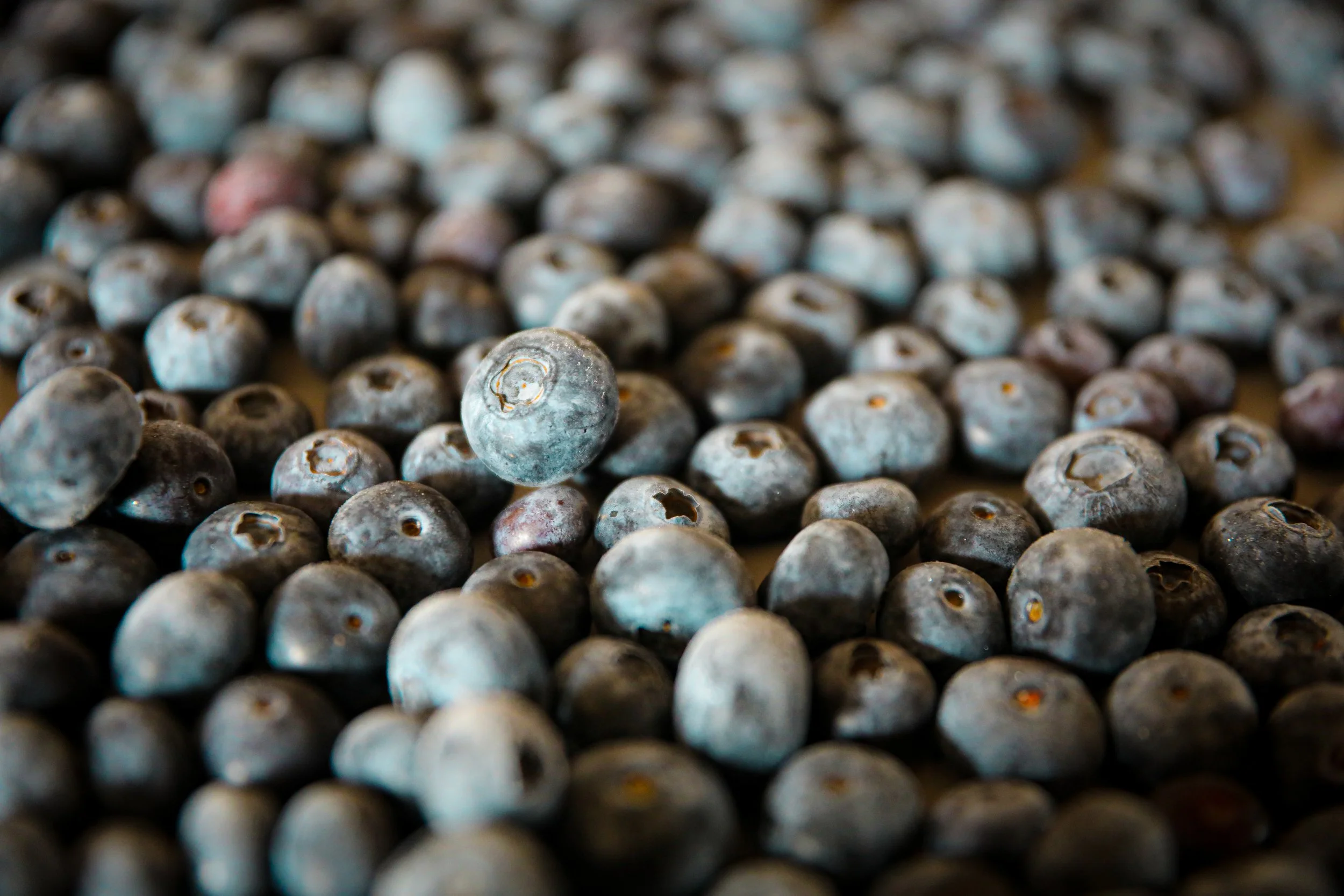 How to Preserve Blueberries for Winter