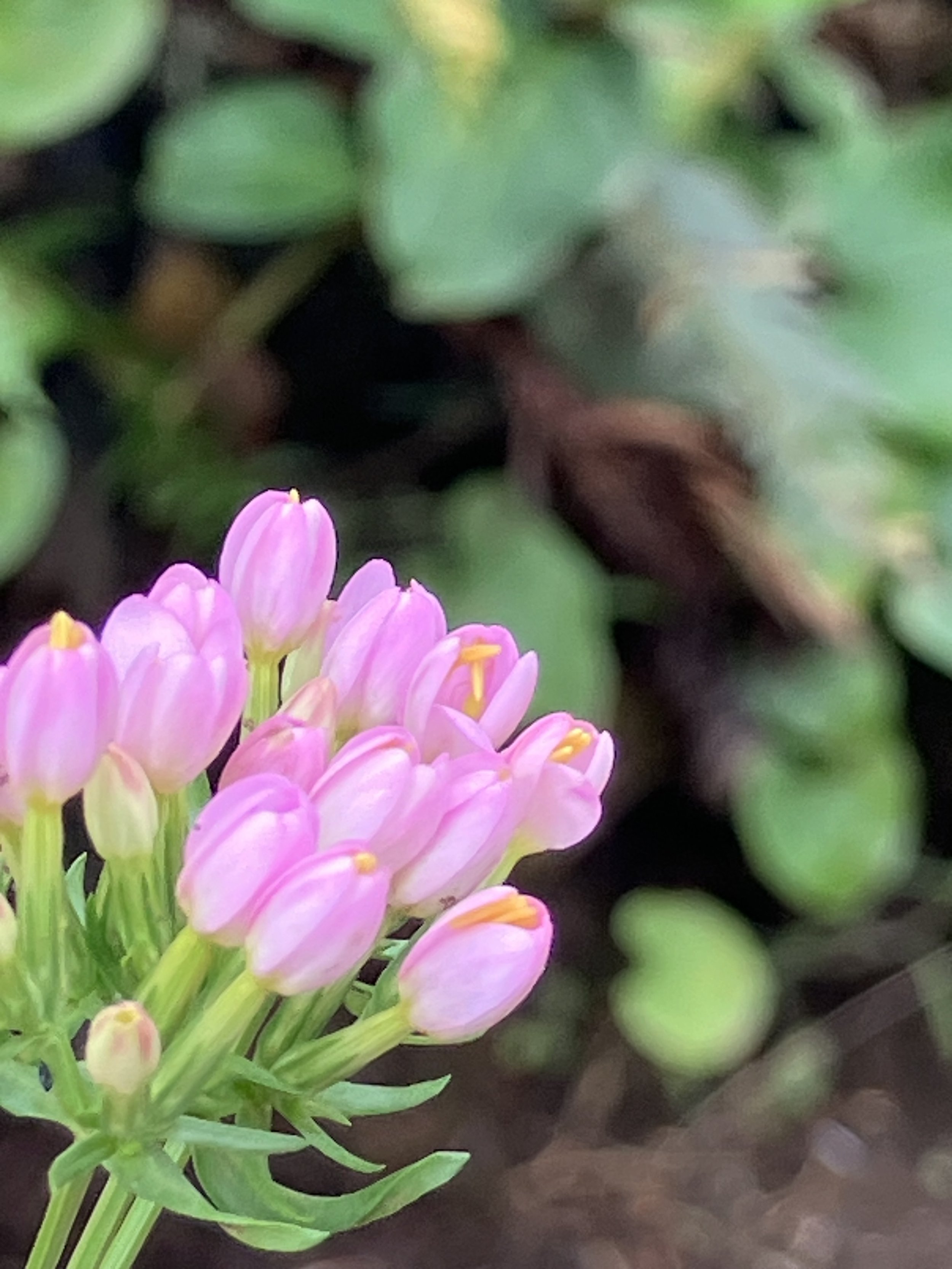 reiki energy healing