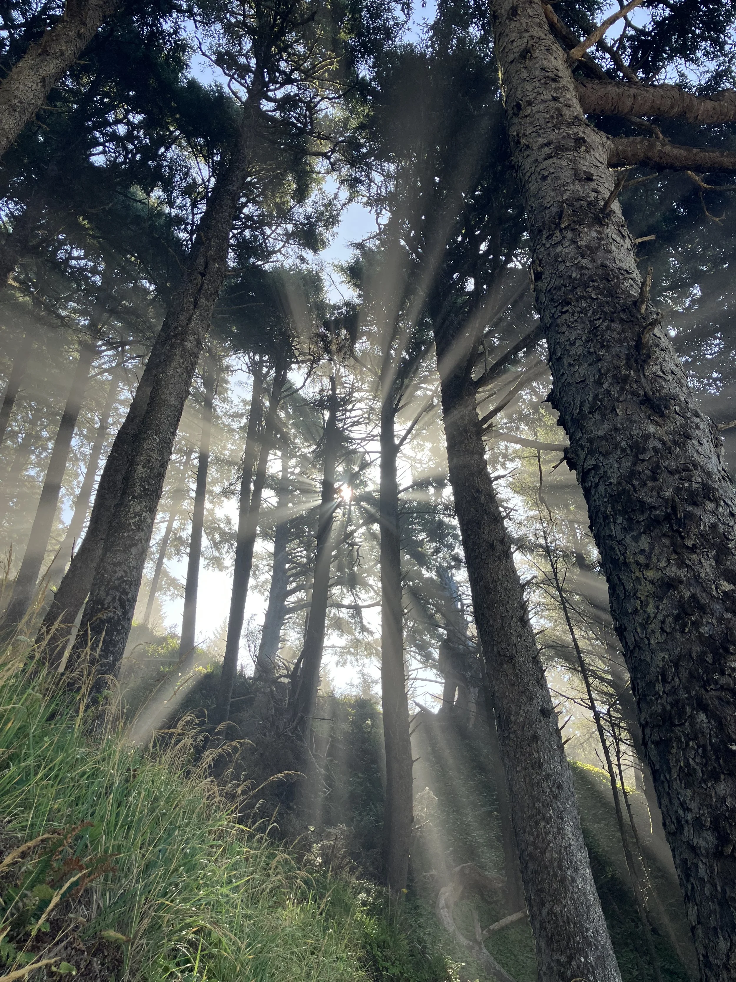 Winter Solstice Sound Immersion