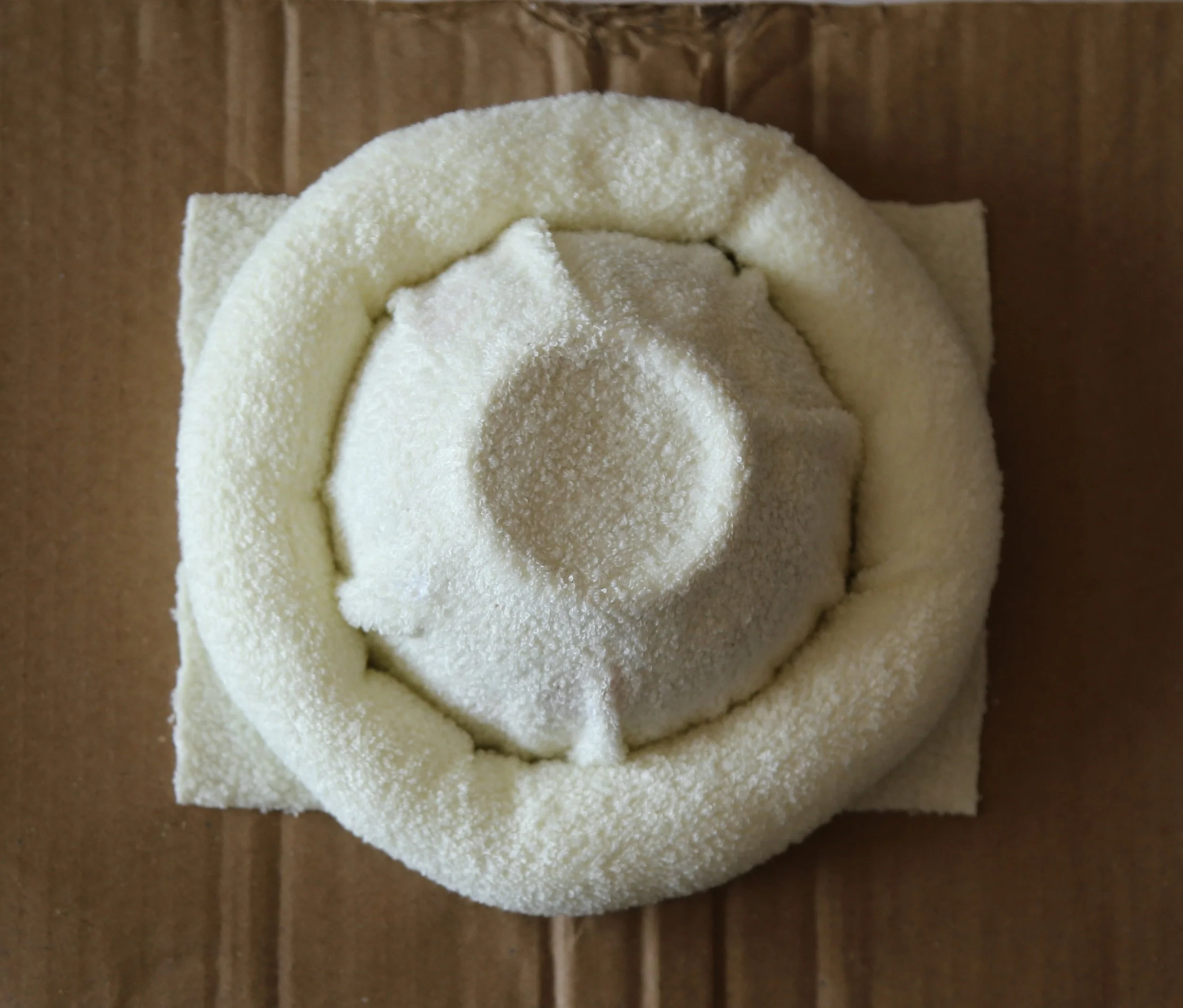 plastic bowl, towel, polyester stuffing, PVA, cardboard. 20 x 20 x 6 cm