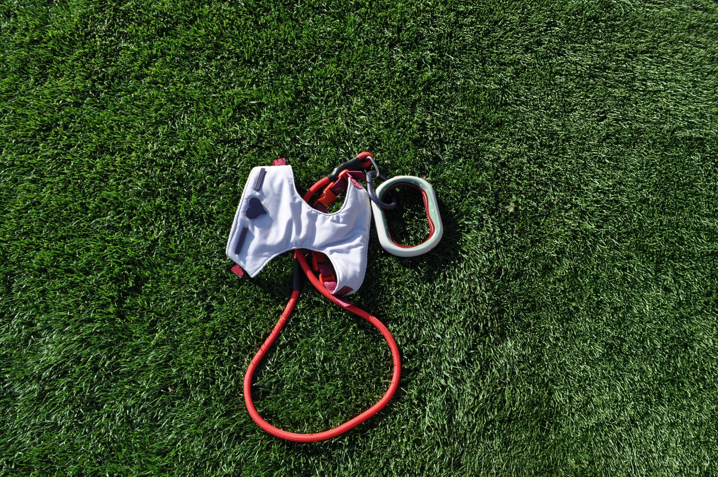 BLUE : Smart Harness