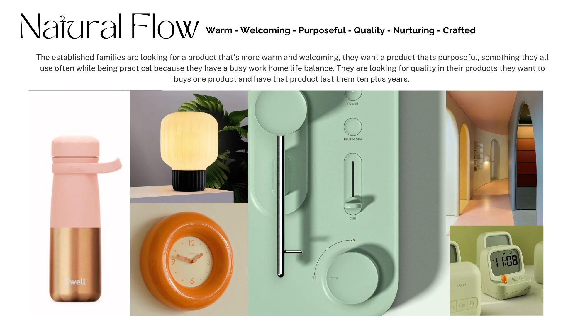 INDUS321_ZoeySells_ProcessBook copy.jpg