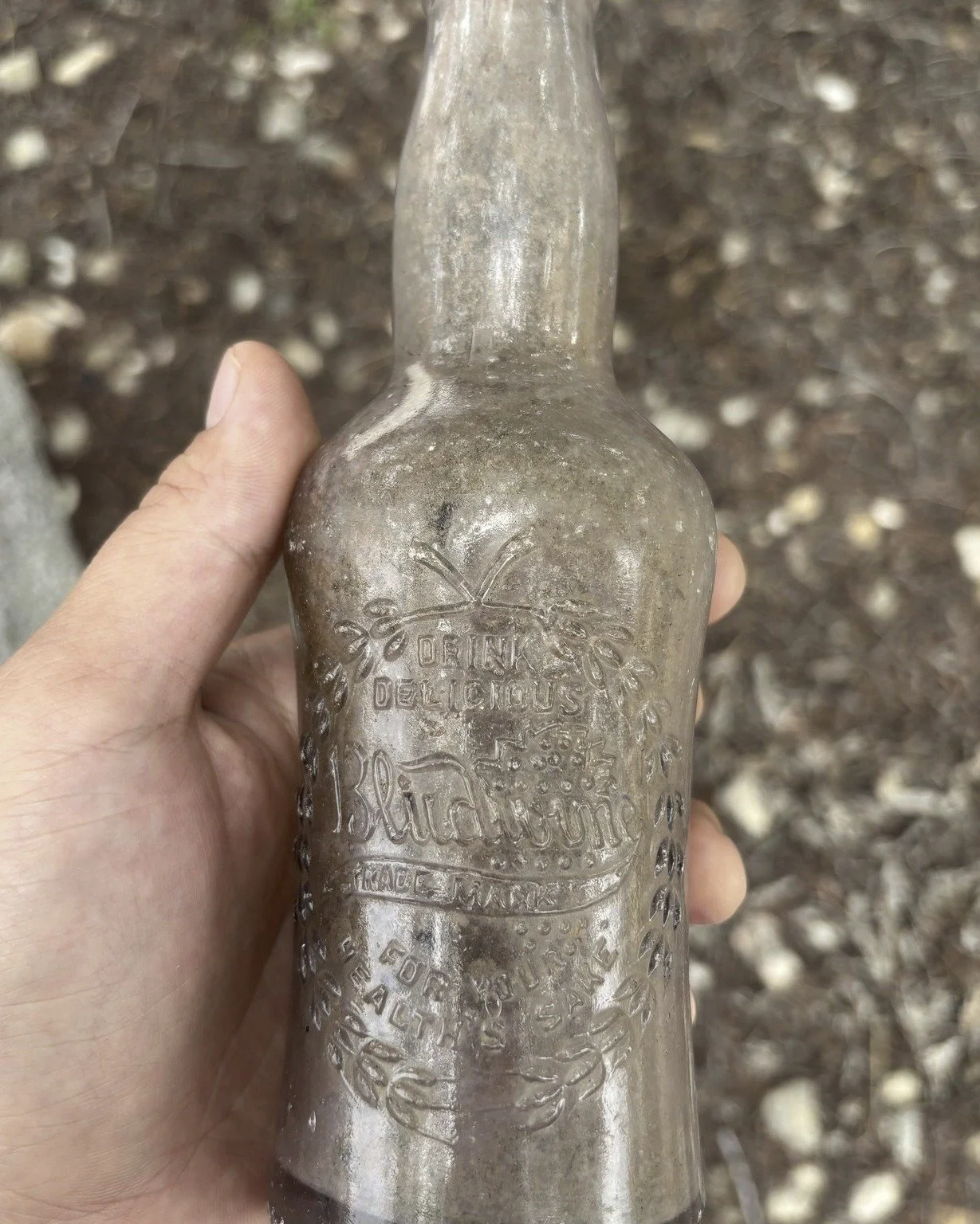 A Sip of History!🍒🍾
Our survey crew recently discovered this beauty in the field. Did you know the FDA forced this brand to change its name to "Budwine" in 1921 because they thought "Blud" sounded too medicinal? 

Because of tha