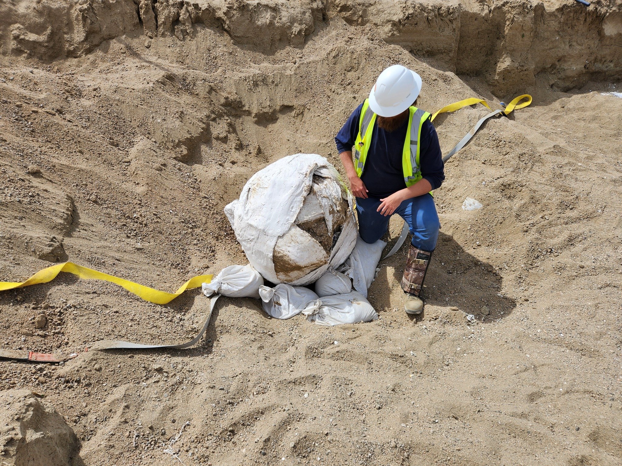 During excavation in Kern County, BCR's Worker Environmental Awareness Program (WEAP) training helped lead to the incredible discovery of a 13,000-year-old Columbian mammoth. In a collaboration with @sdnhm, BCR Consulting&rsquo;s Crew Chief Douglas K