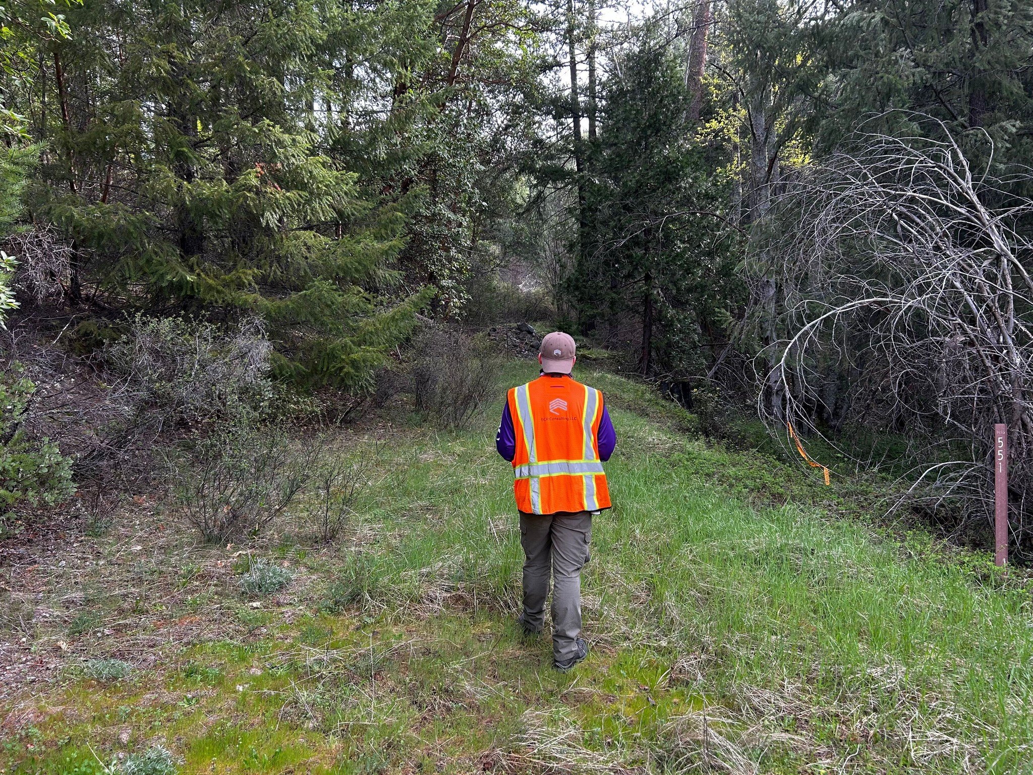 Task 2: Pedestrian Survey 
Building on our initial records search, the team at BCR Consulting has transitioned to the next phase of the CRM process: the Pedestrian Survey. We are currently on the ground in the Rogue River-Siskiyou National Forest nea