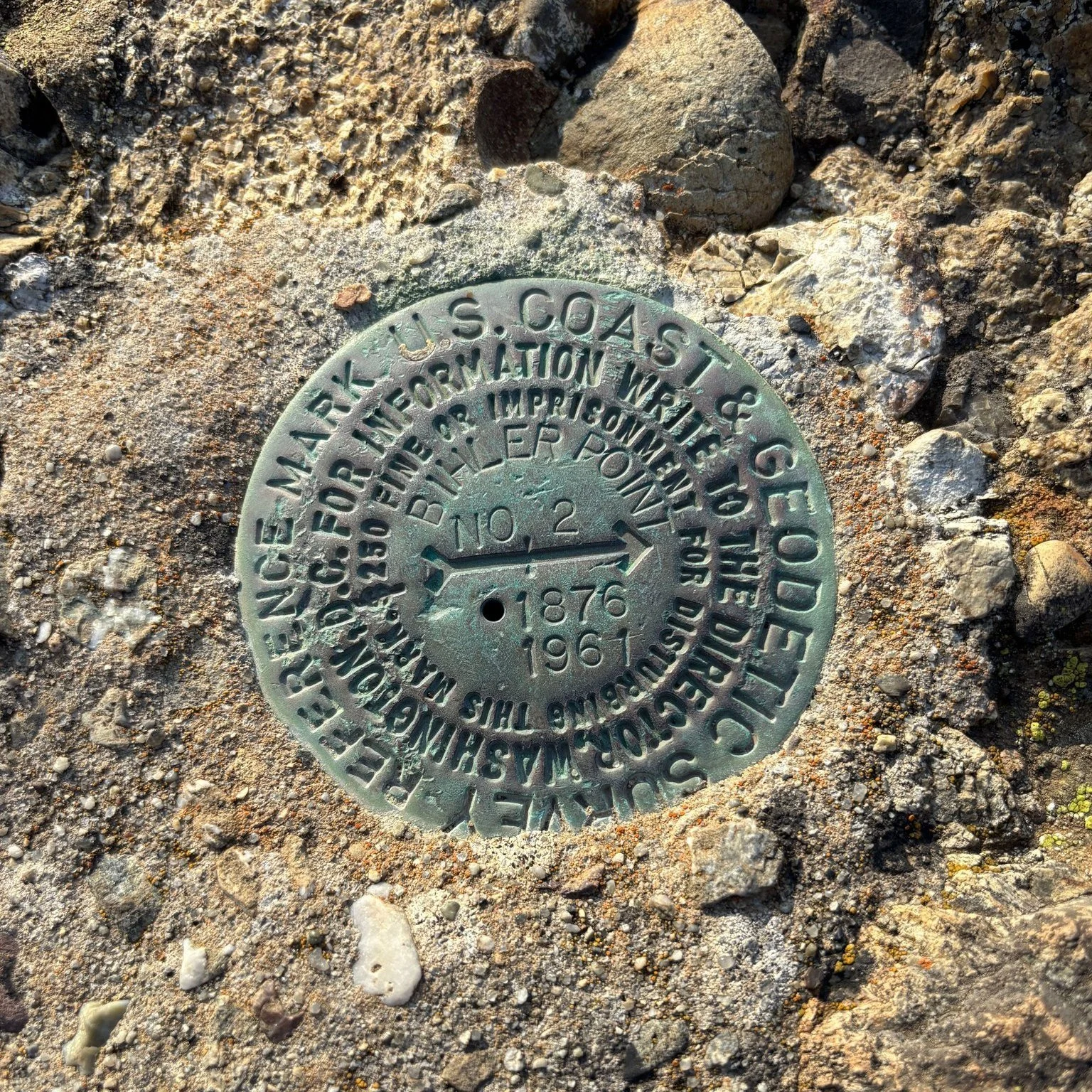 Ever seen one of these?
If you're an archaeologist, you've probably seen plenty. Survey markers are a familiar part of working in the field but, most people probably pass them by without giving them a second thought.
Some of these markers have been i