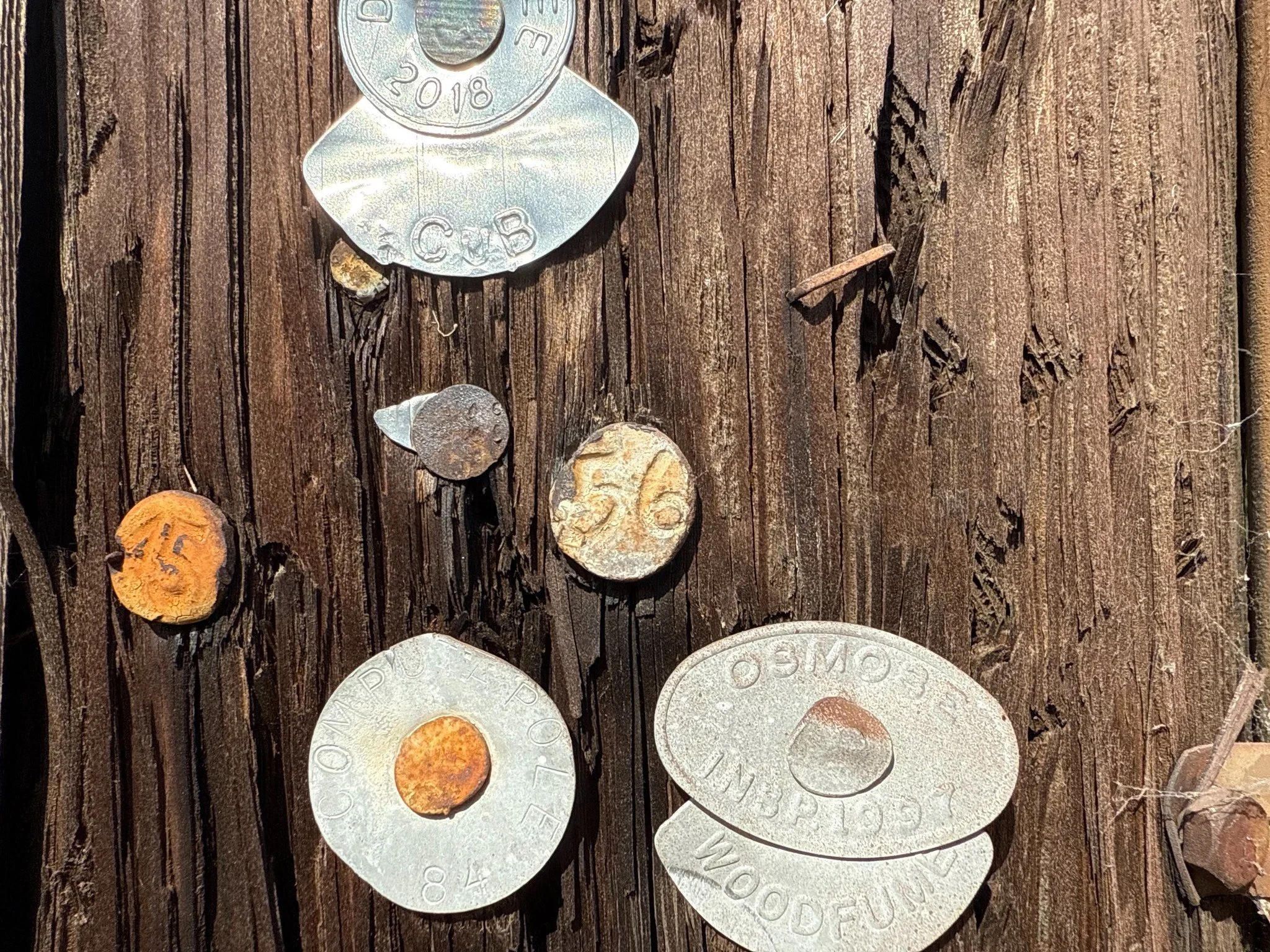 Ever noticed those numbered metal disks on old utility poles? They&rsquo;re called date nails! Dating back to the late 1800s, companies hammered these markers into wooden poles to track the inspection year and monitor how long the wood lasted. While 