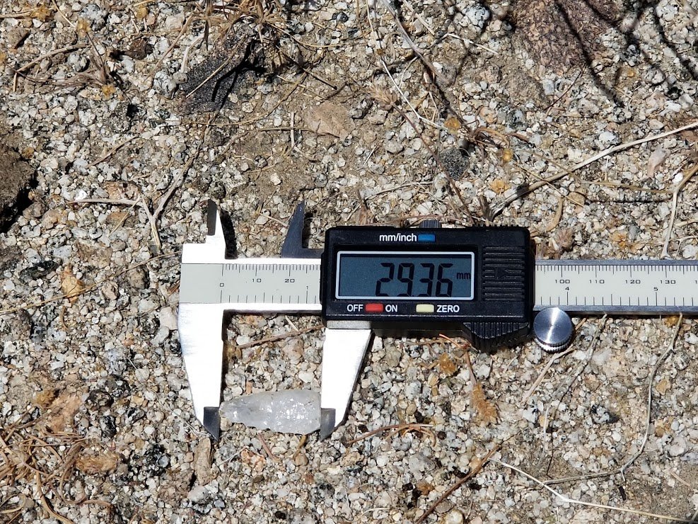 Check out this archaeological find from our fieldwork back in 2019!

Quartz was frequently used by indigenous peoples to create tools and projectile points when more predictable materials like chert or obsidian were unavailable. Because of its dense,