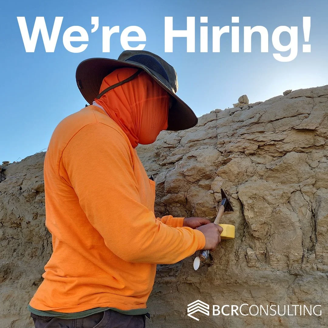 Join Our Team! BCR Consulting is growing, and we&rsquo;re looking for talented people to join our team. We&rsquo;re currently hiring for: On-Call Field Technicians, Project Manager, and Lead or Principal Paleontologist.

At BCR, you&rsquo;ll have the