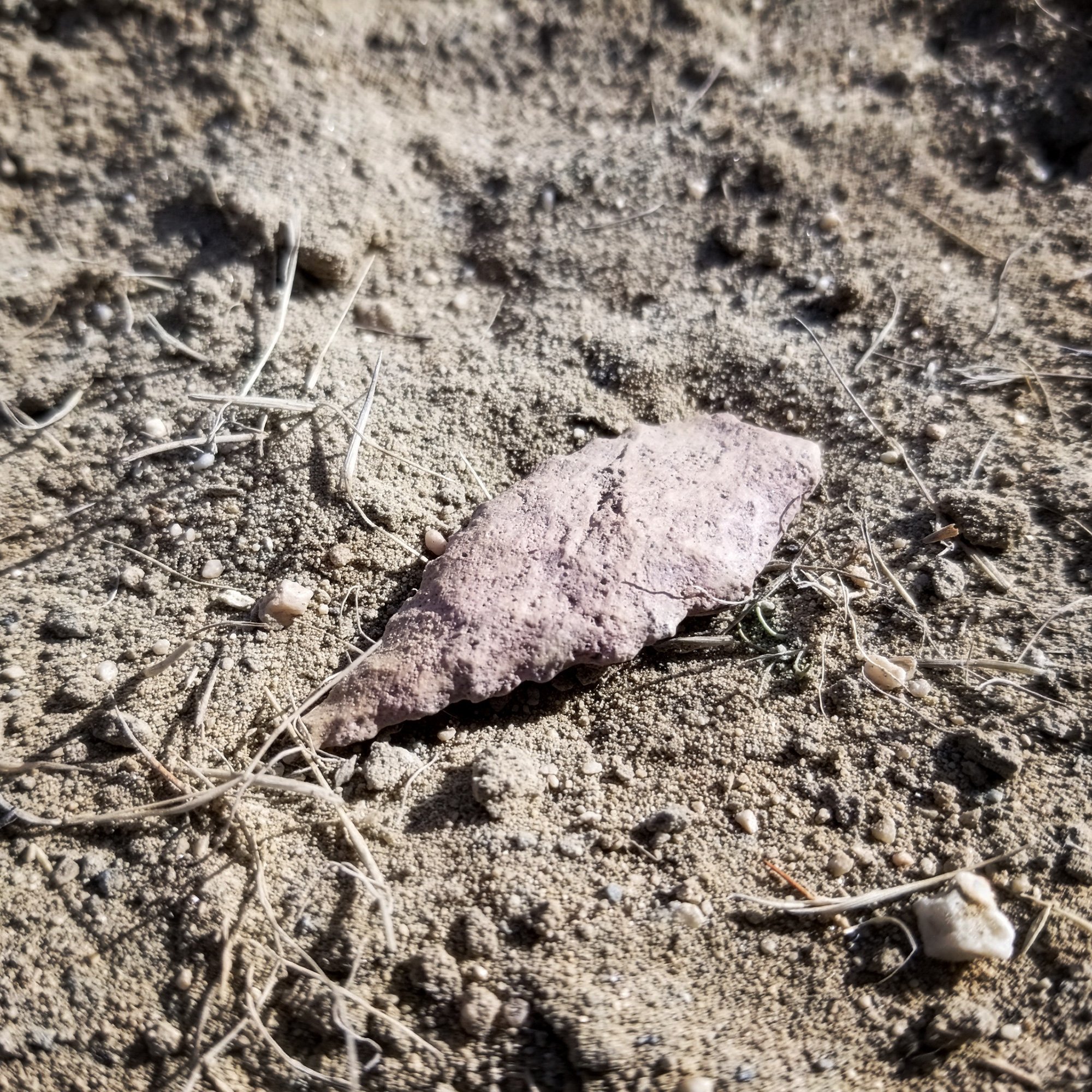 An arrowhead on the ground