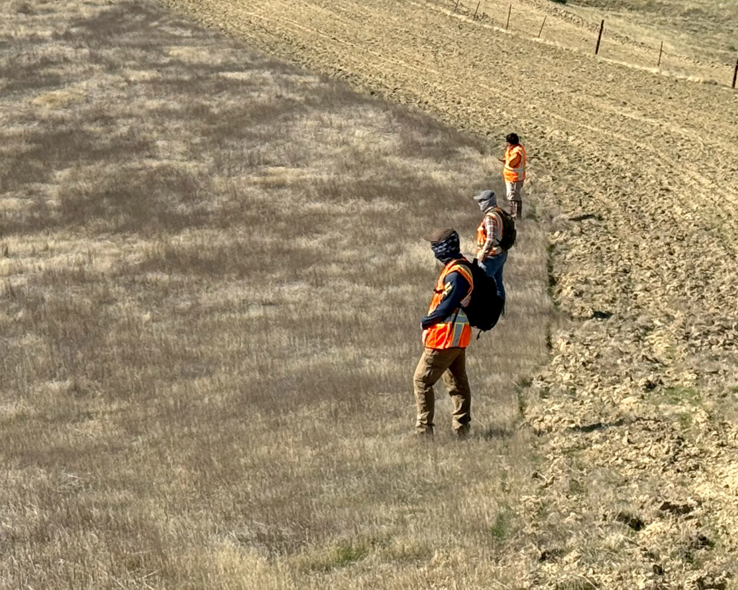 BCR team performing a survey on a site.