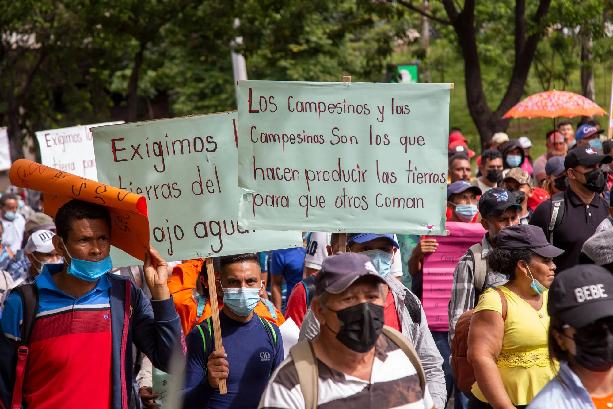 Aguán News Alert | February 2026