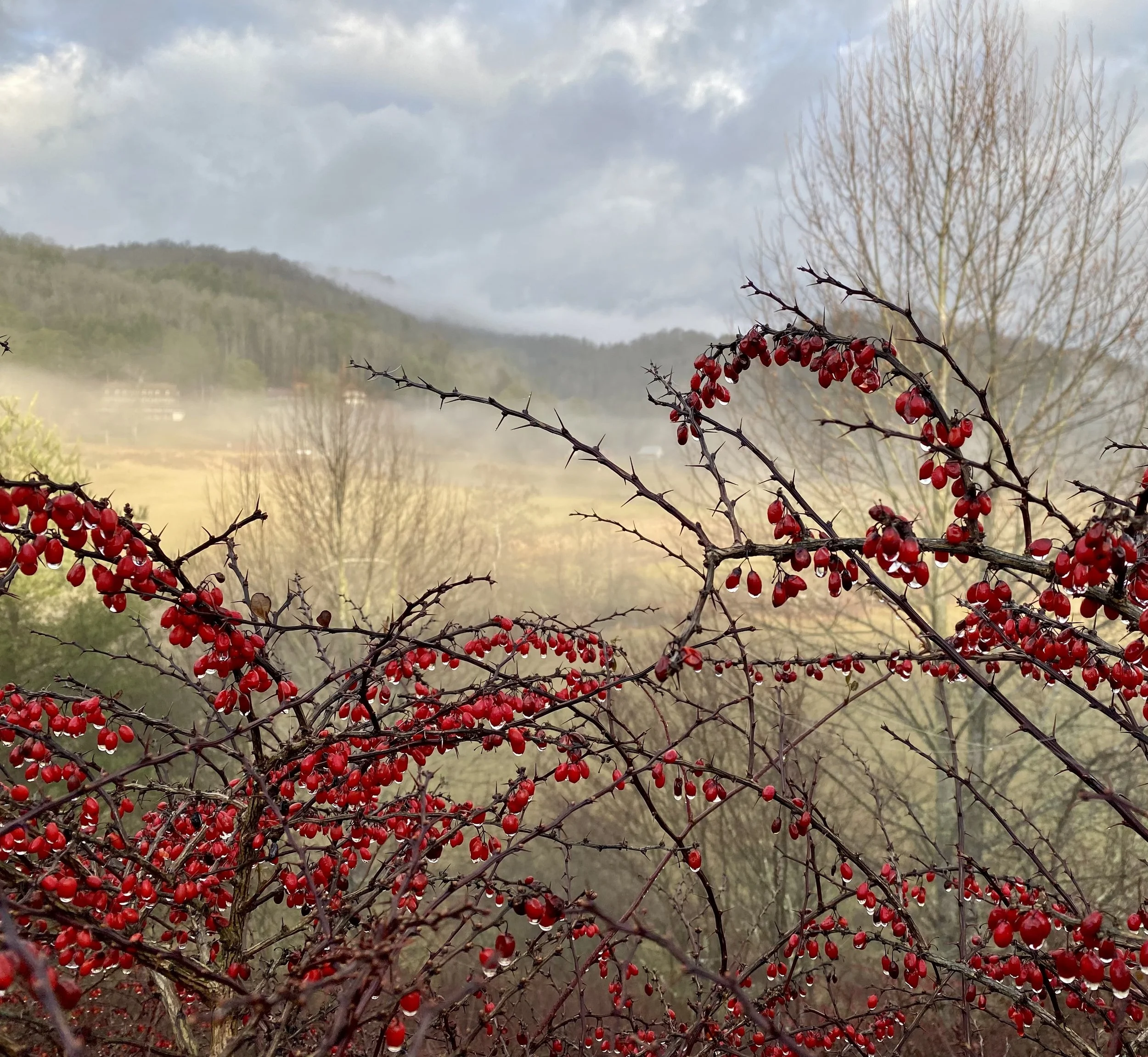 Revelation - Shared Room / Shared Bath