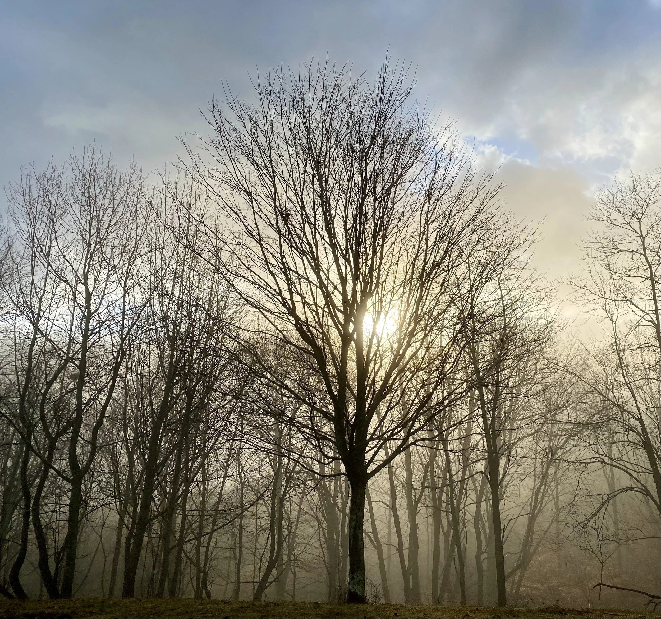 Revelation - Course Fee Only