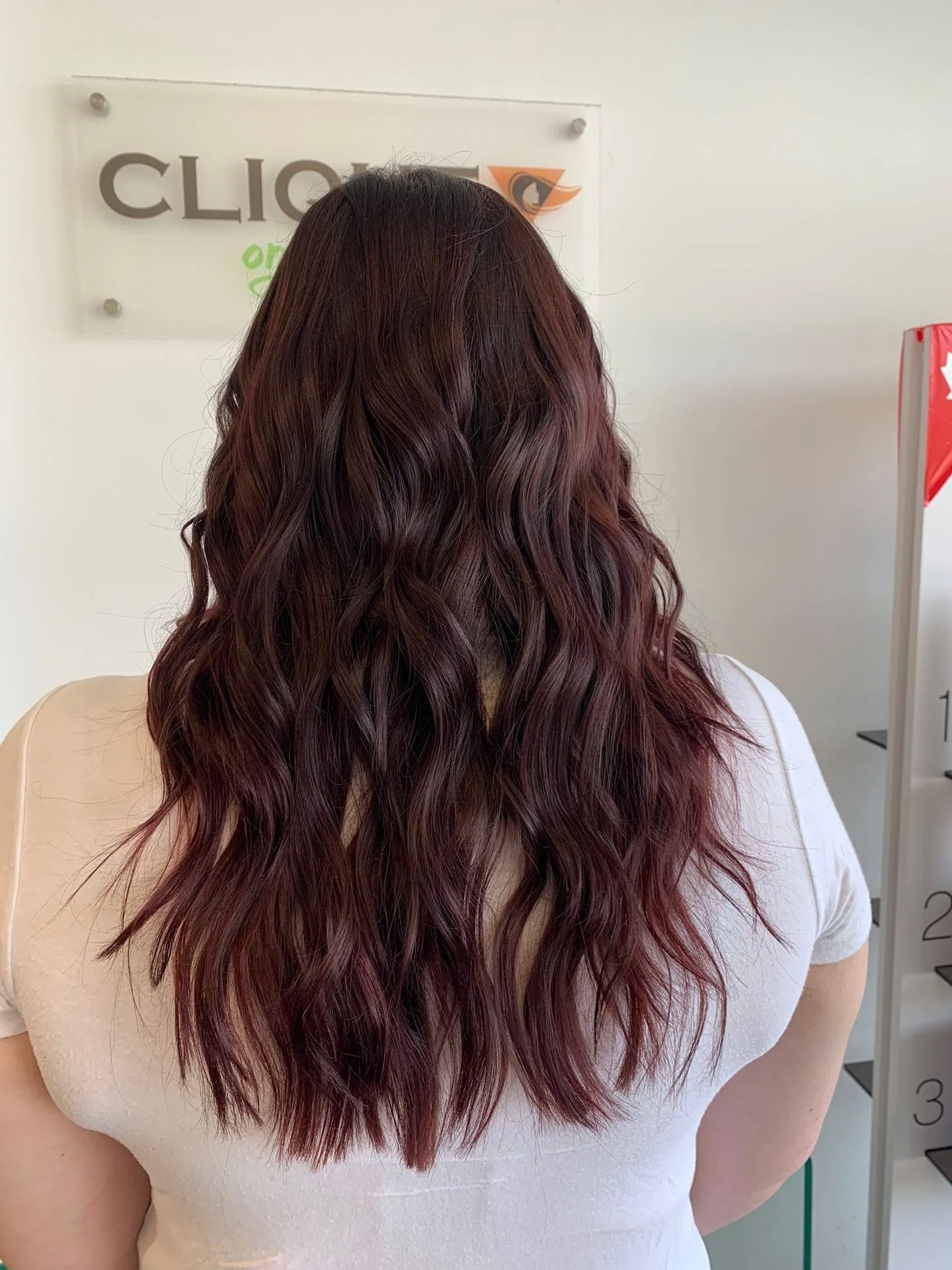Mahagony colour melt 💕By @dragana.tesevcic ❤️

Ready for a transformation? Book your appointment today. Because you deserve to look and feel your best.

📞 Call us 519-342-1767 at or visit our website at https://www.cliqueorganicsalons.com/  to sche