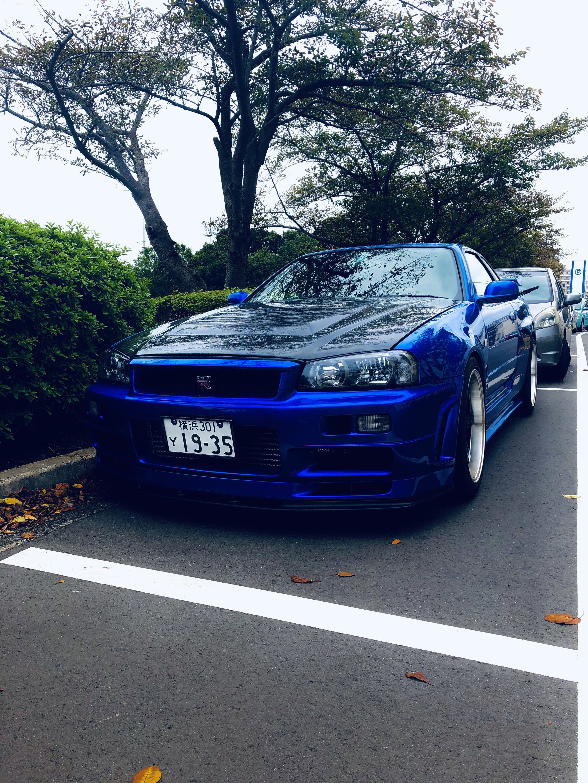 IMG_0042.jpeg