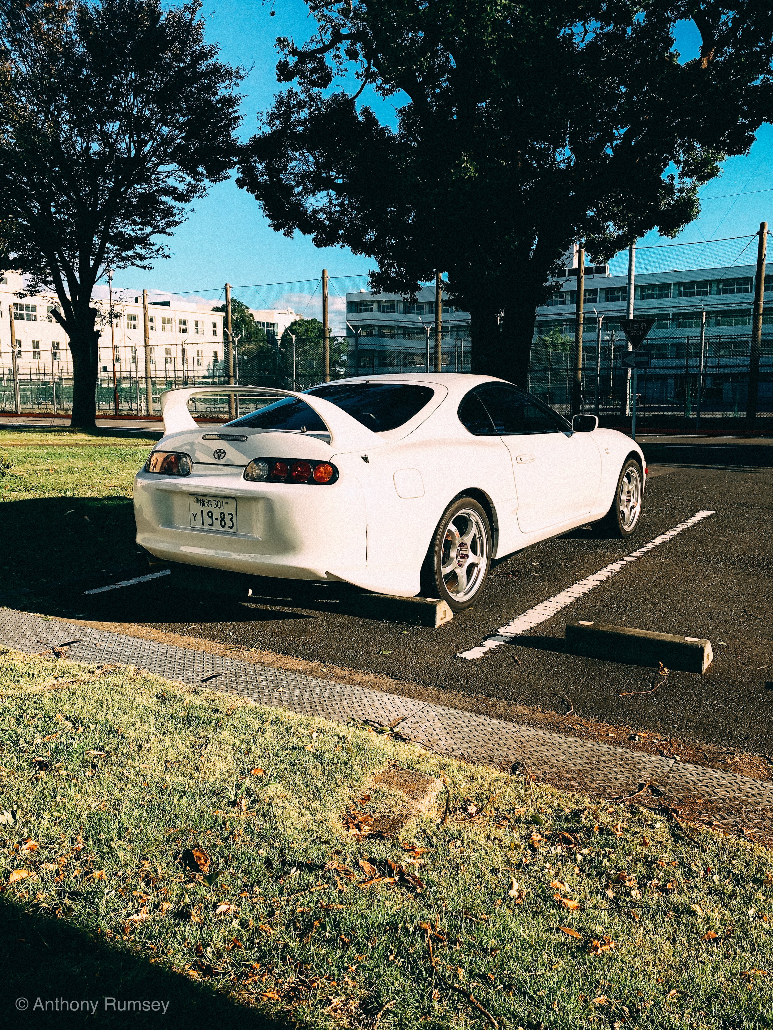 IMG_0033.jpeg