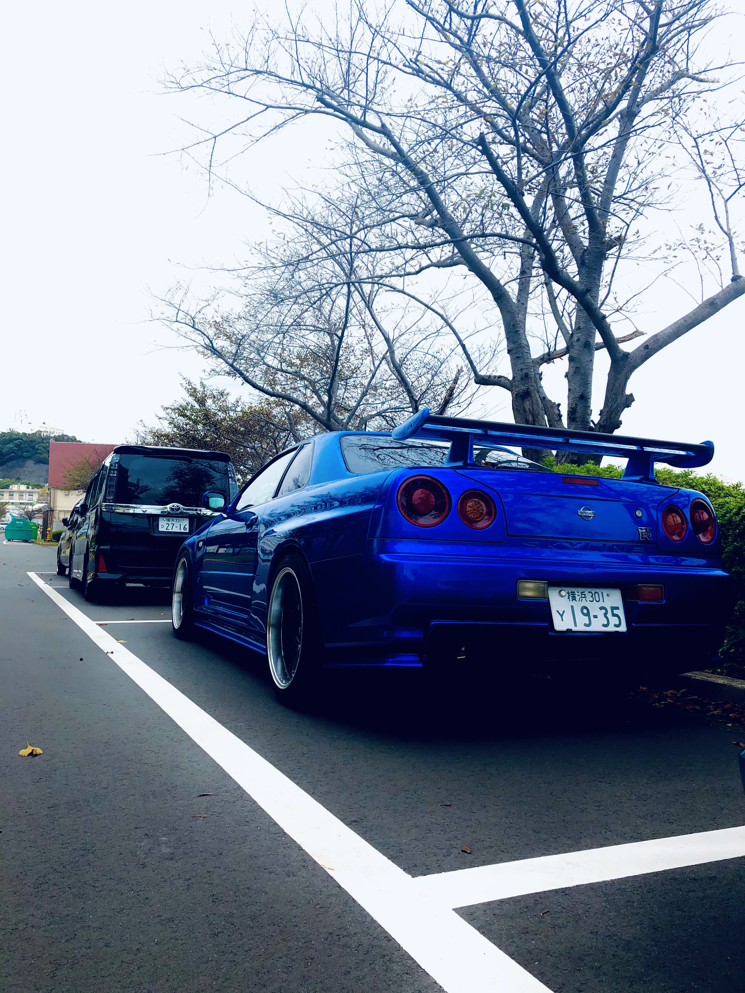 IMG_0041.jpeg