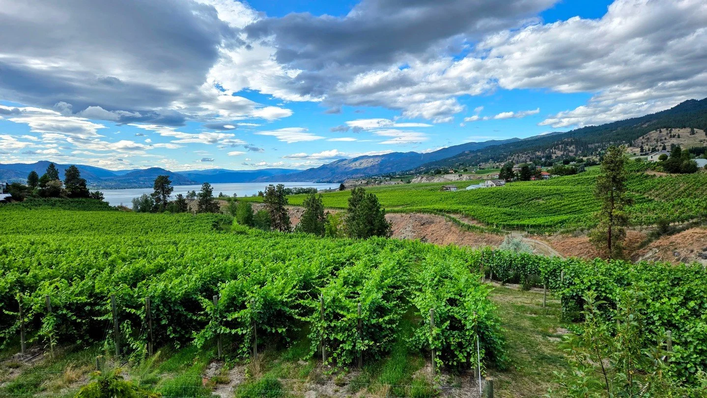 🍇 Fun Fact Friday! Did you know British Columbia&rsquo;s wine industry is home to over 340 wineries and more than 75 grape varieties? The Okanagan Valley alone produces 90% of BC wine&mdash;a true testament to our world-class vineyards. Cheers to lo