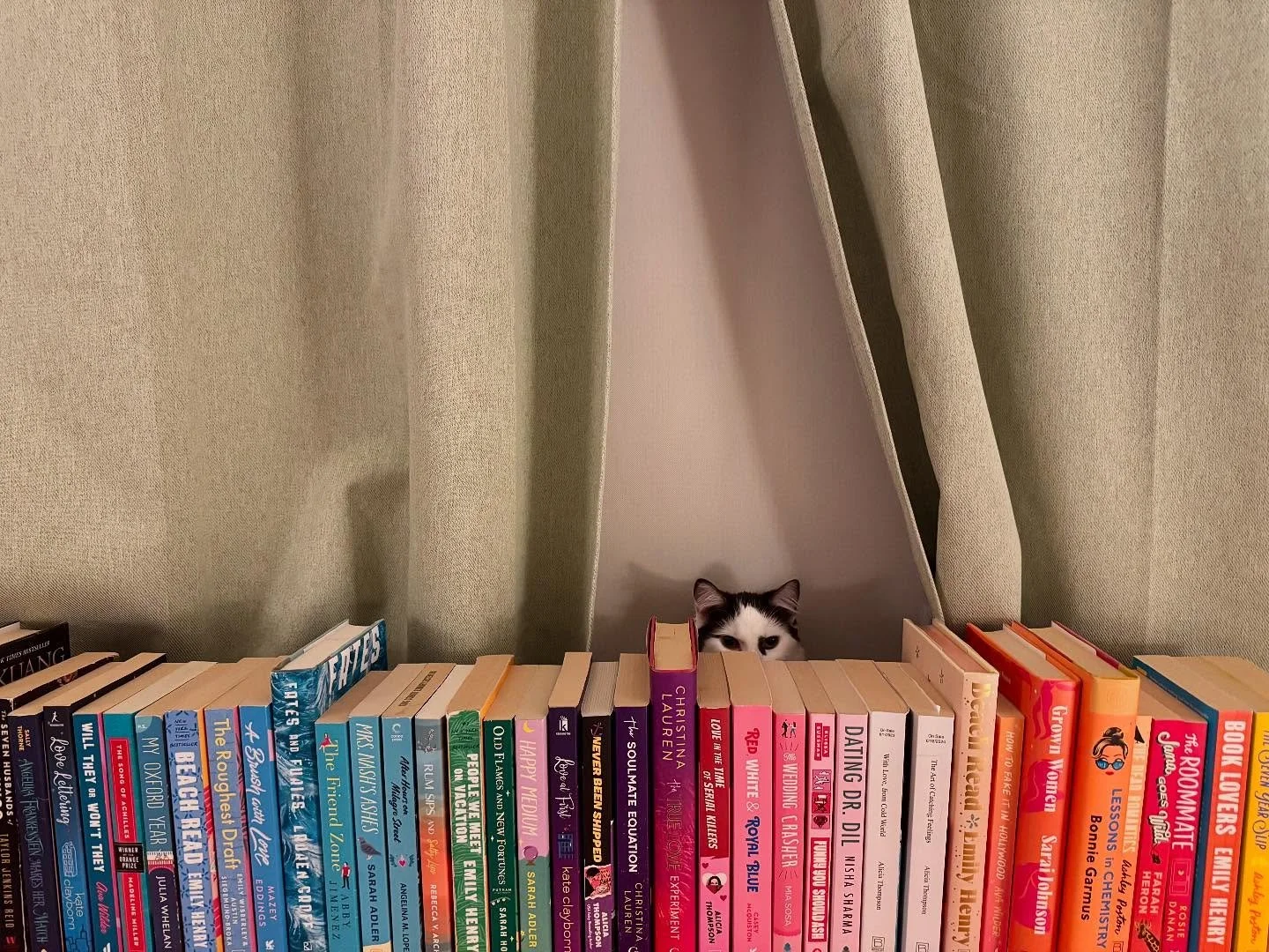 Sneaky bookshelf kitten!!!