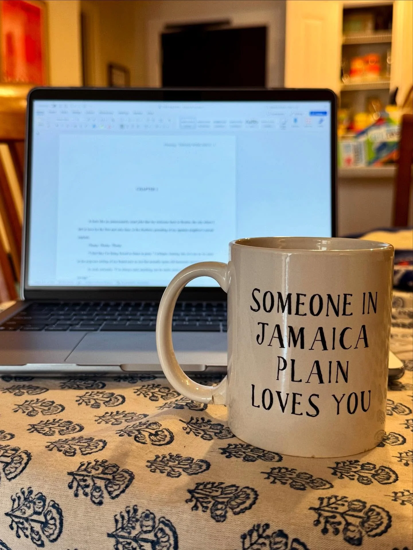 One of my best friends is from Jamaica Plain (a neighborhood in Boston), and she&rsquo;s always had this mug in her apartment. I&rsquo;ve always thought it was hilarious, and so I decided to write it into my book. After all, my characters live in Jam
