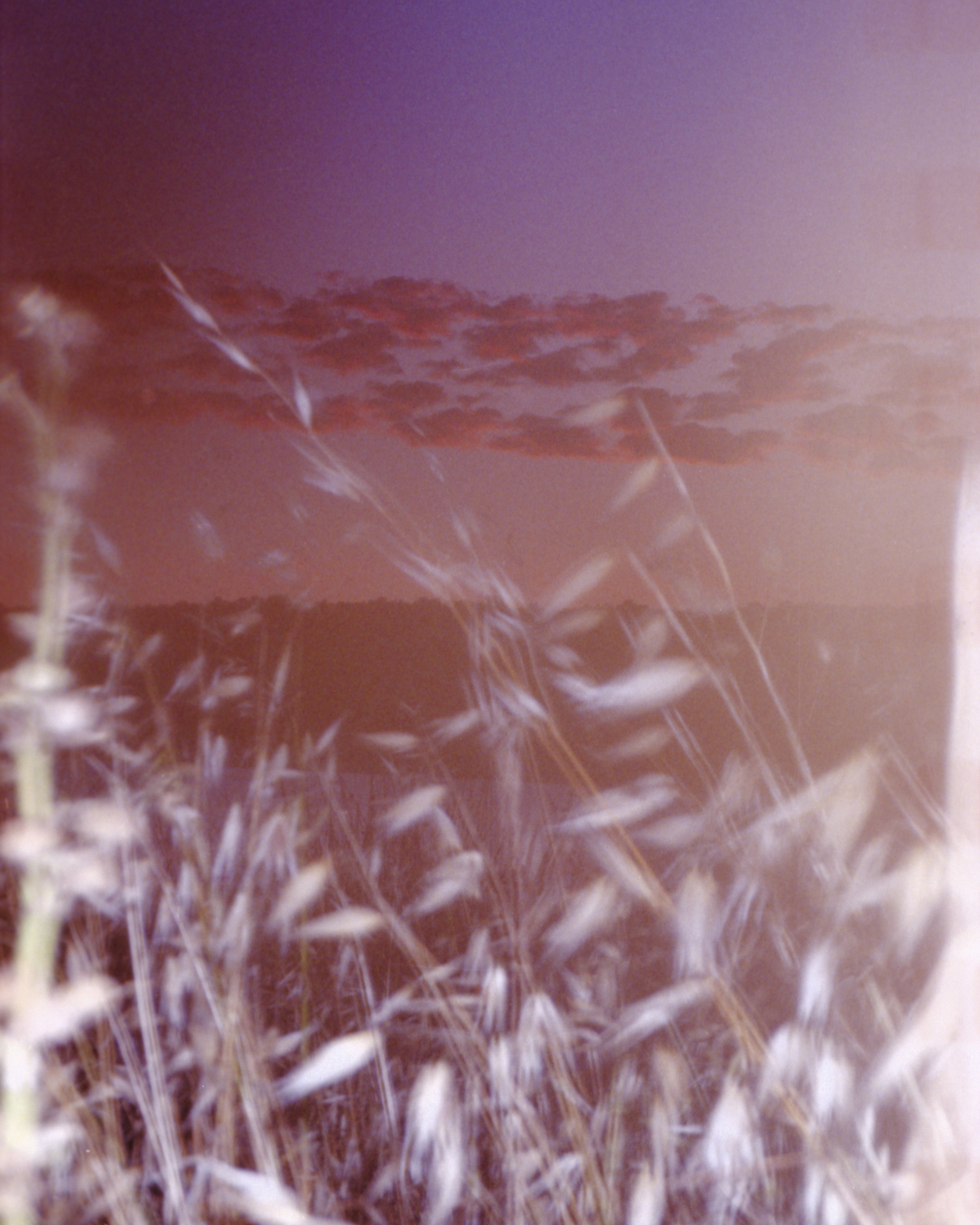 bits_pieces021_.jpg