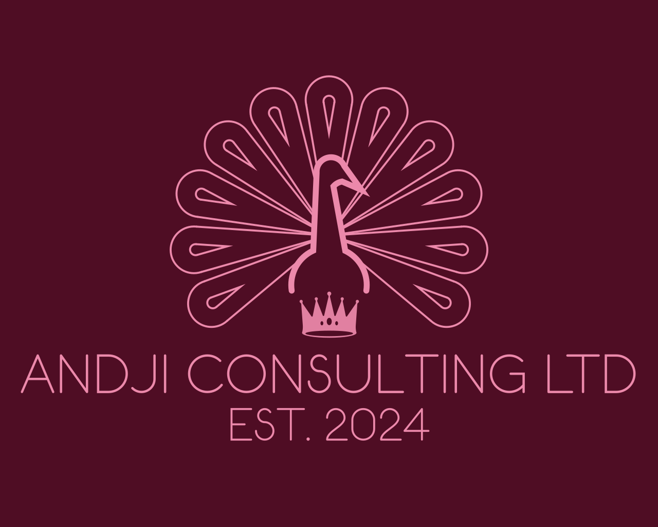experience-management-andji-consulting-ltd