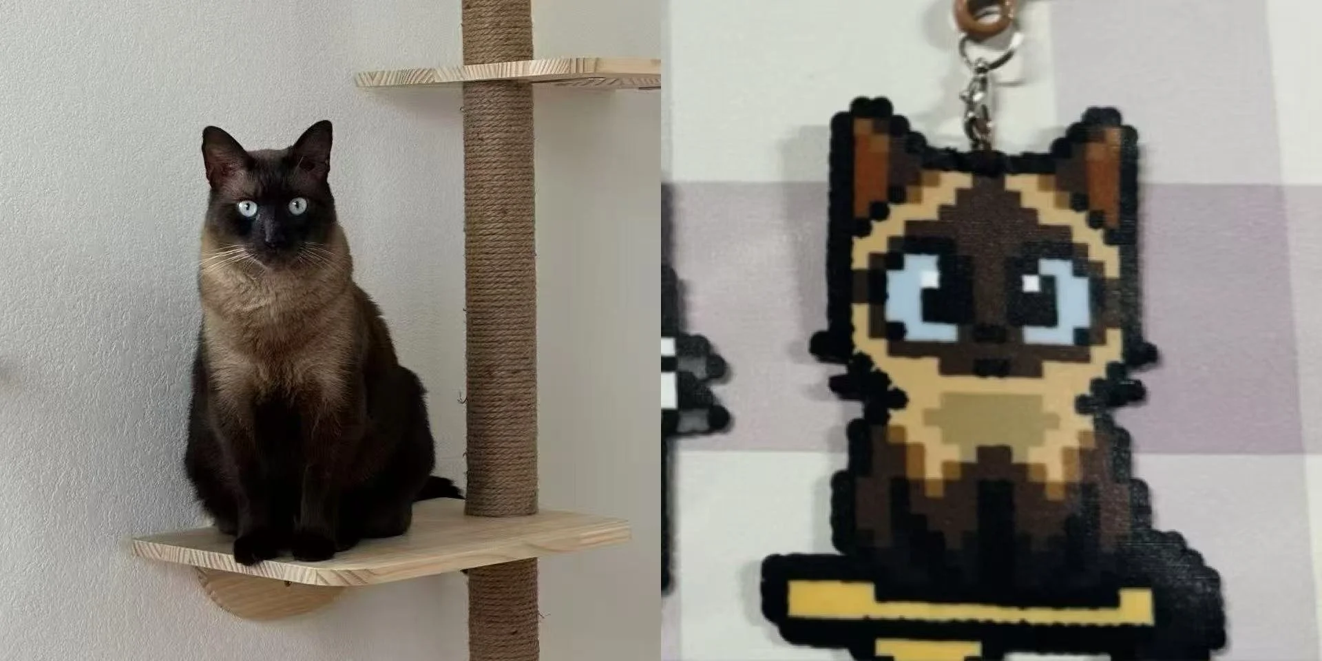 A Siamese cat sitting on a wooden shelf next to a pixel art keychain of a cartoon fox character hanging on a wall.